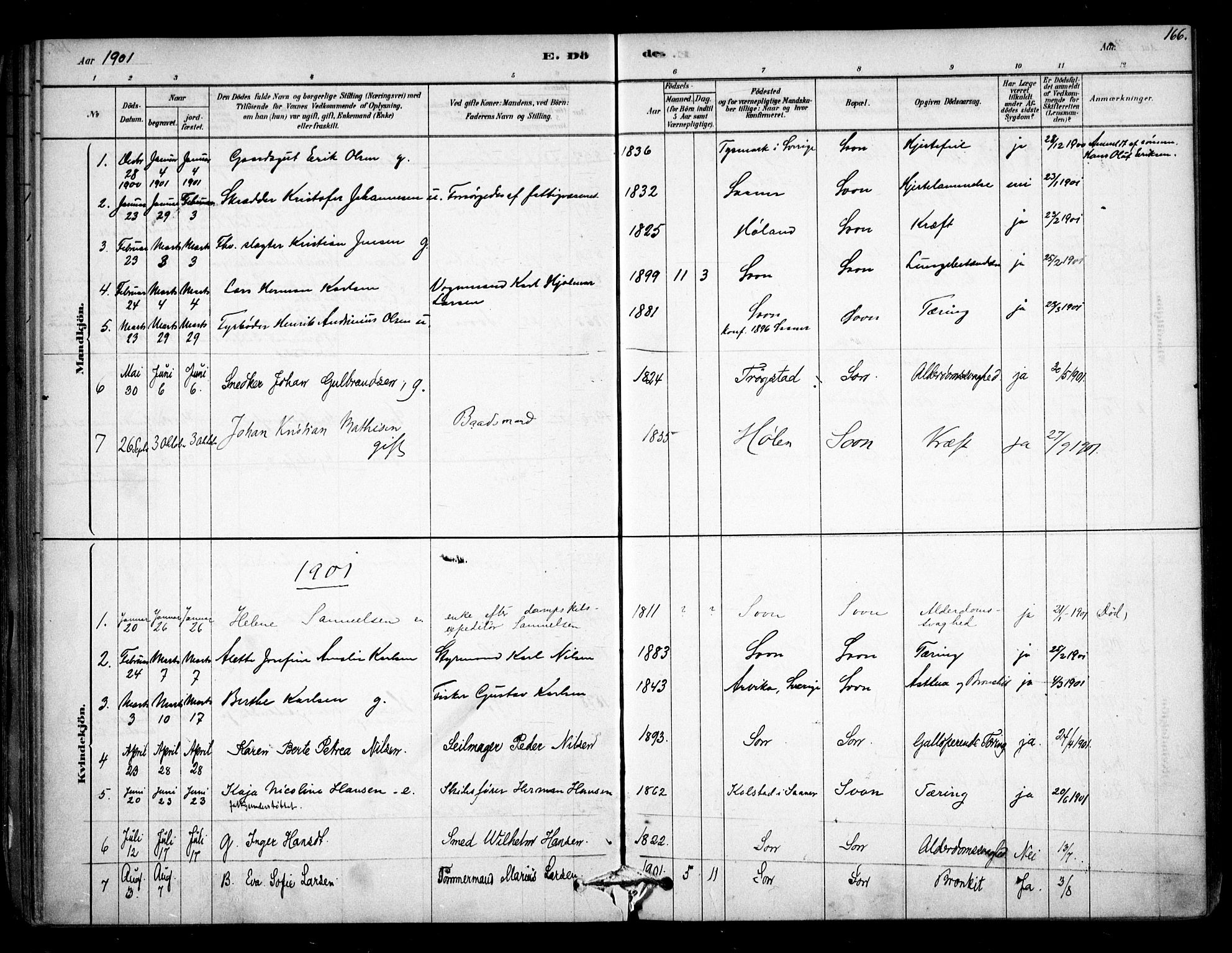 Vestby prestekontor Kirkebøker, SAO/A-10893/F/Fc/L0001: Parish register (official) no. III 1, 1878-1906, p. 166