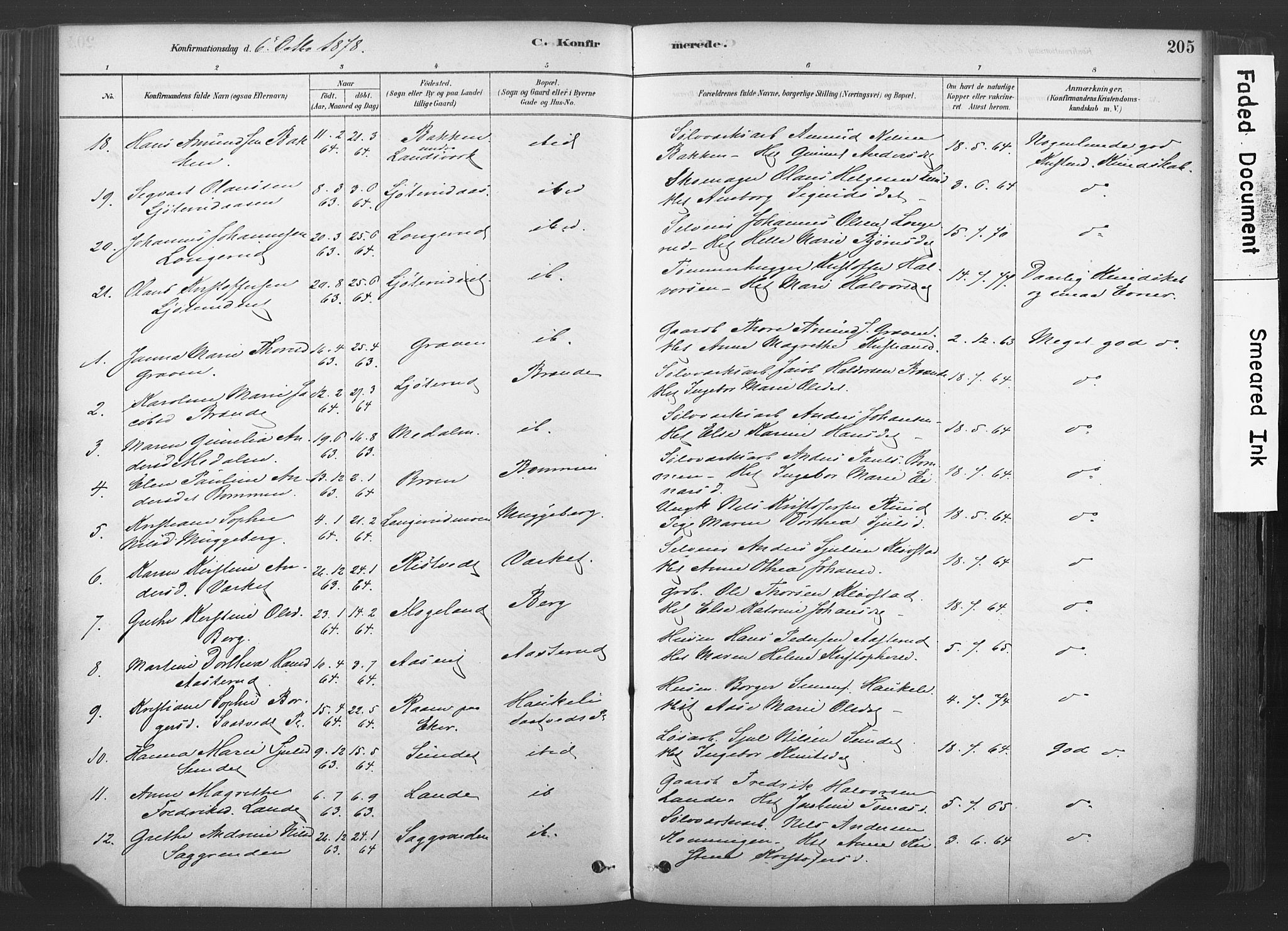 Sandsvær kirkebøker, AV/SAKO-A-244/F/Fd/L0001: Parish register (official) no. IV 1, 1878-1906, p. 205