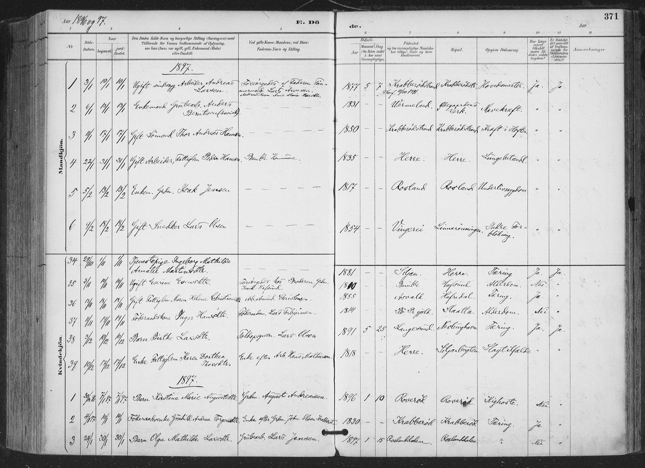 Bamble kirkebøker, SAKO/A-253/F/Fa/L0008: Parish register (official) no. I 8, 1888-1900, p. 371