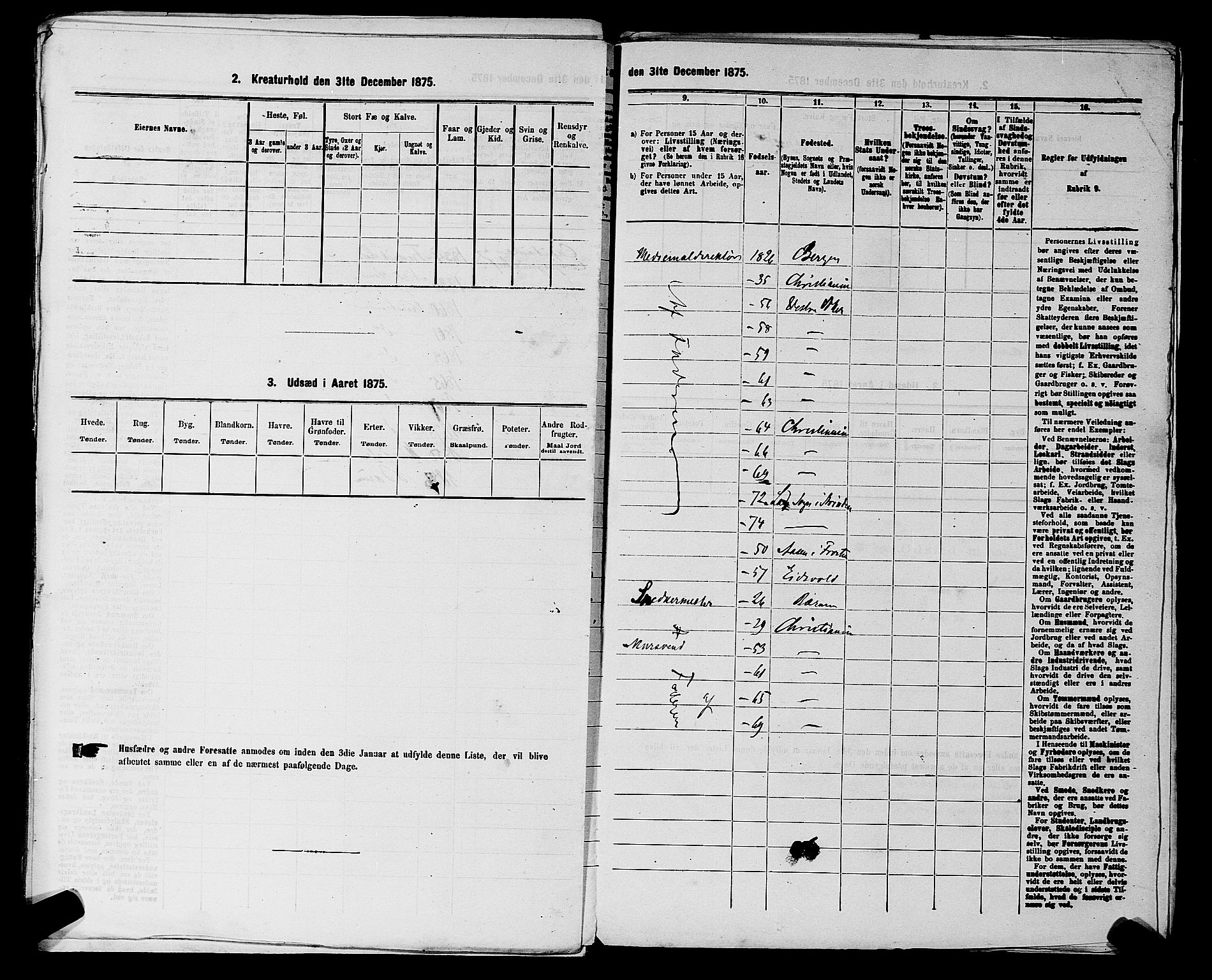 RA, 1875 census for 0218aP Vestre Aker, 1875, p. 2382