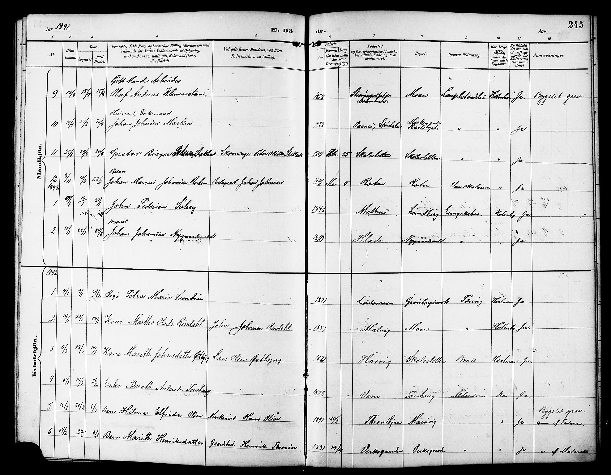 Ministerialprotokoller, klokkerbøker og fødselsregistre - Sør-Trøndelag, SAT/A-1456/617/L0431: Parish register (copy) no. 617C01, 1889-1910, p. 245