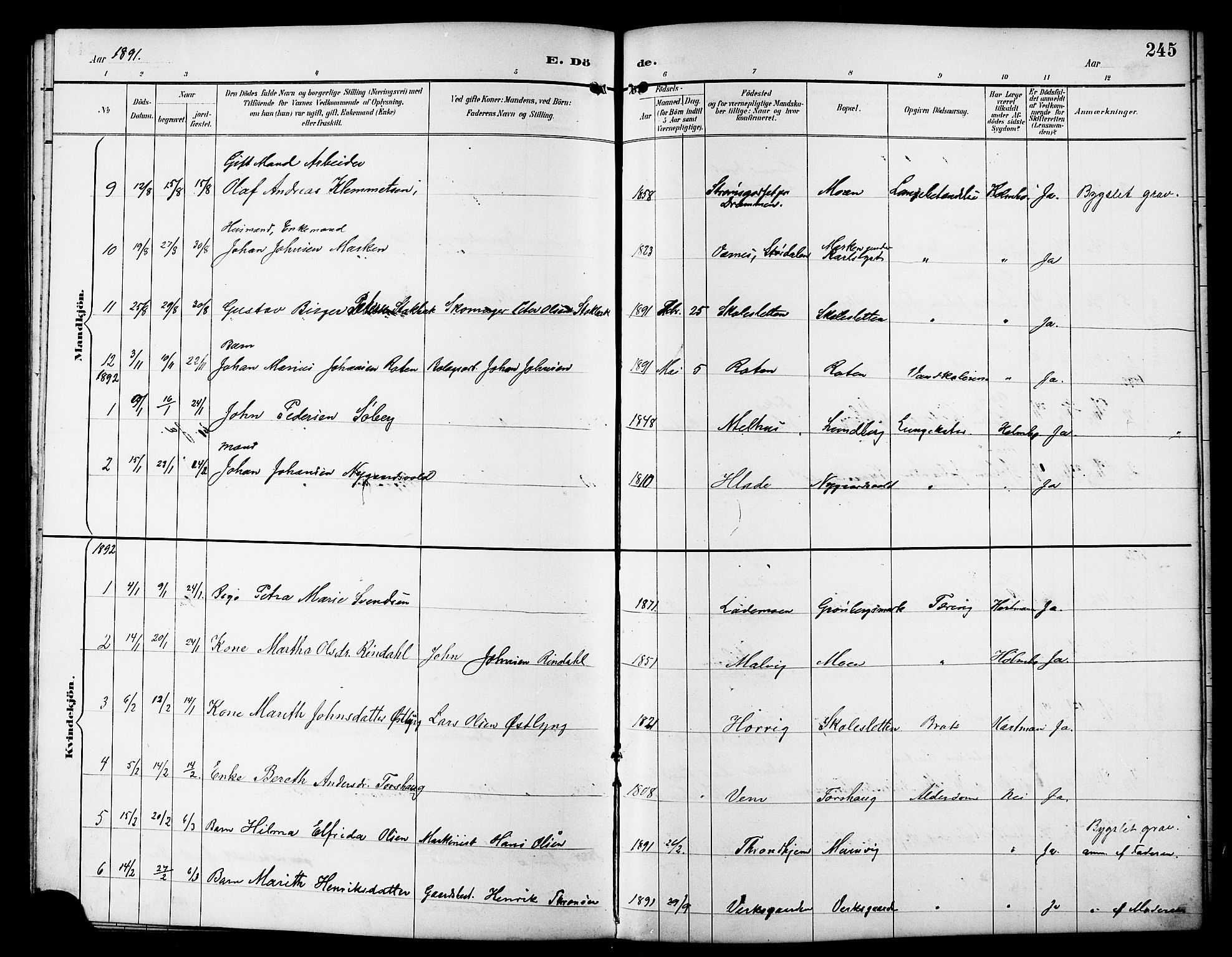 Ministerialprotokoller, klokkerbøker og fødselsregistre - Sør-Trøndelag, AV/SAT-A-1456/617/L0431: Parish register (copy) no. 617C01, 1889-1910, p. 245