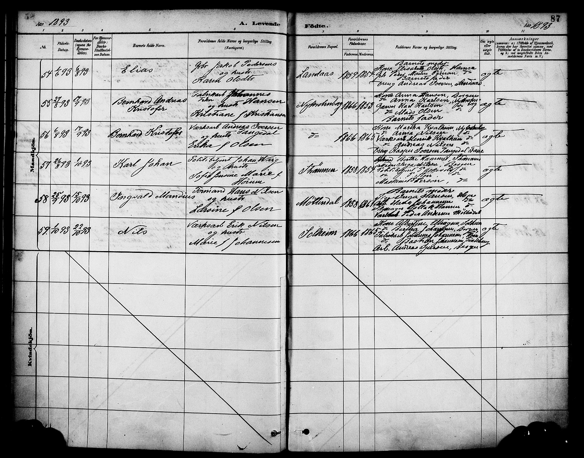 Årstad Sokneprestembete, AV/SAB-A-79301/H/Haa/L0001: Parish register (official) no. A 1, 1886-1901, p. 87