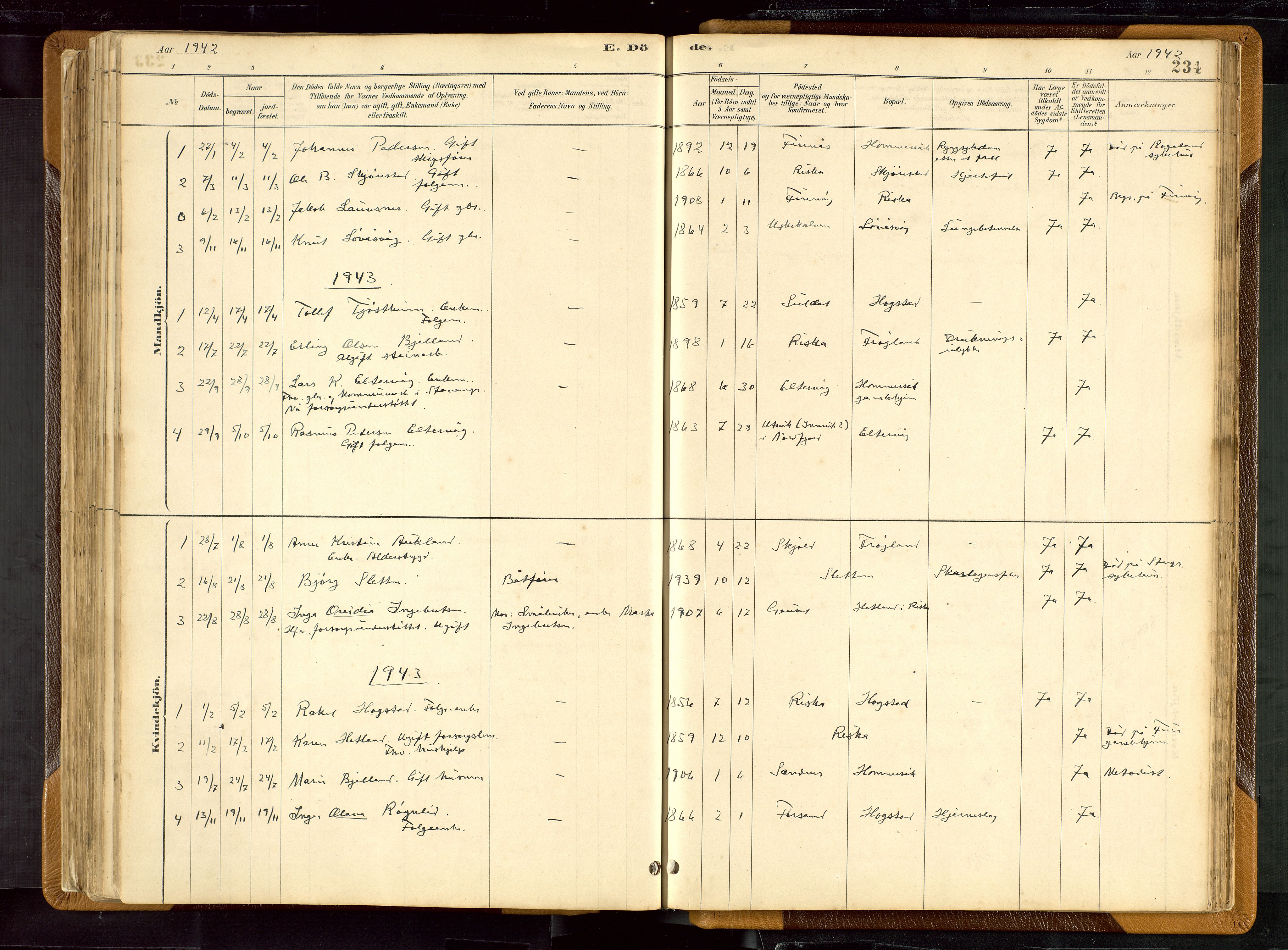 Hetland sokneprestkontor, AV/SAST-A-101826/30/30BB/L0007: Parish register (copy) no. B 7, 1878-1910, p. 234