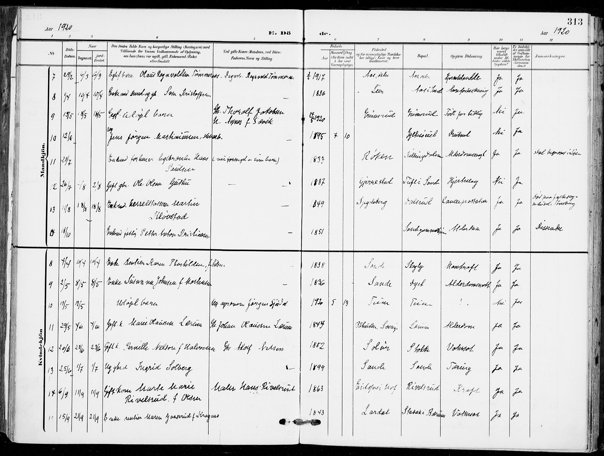 Sande Kirkebøker, AV/SAKO-A-53/F/Fa/L0008: Parish register (official) no. 8, 1904-1921, p. 313