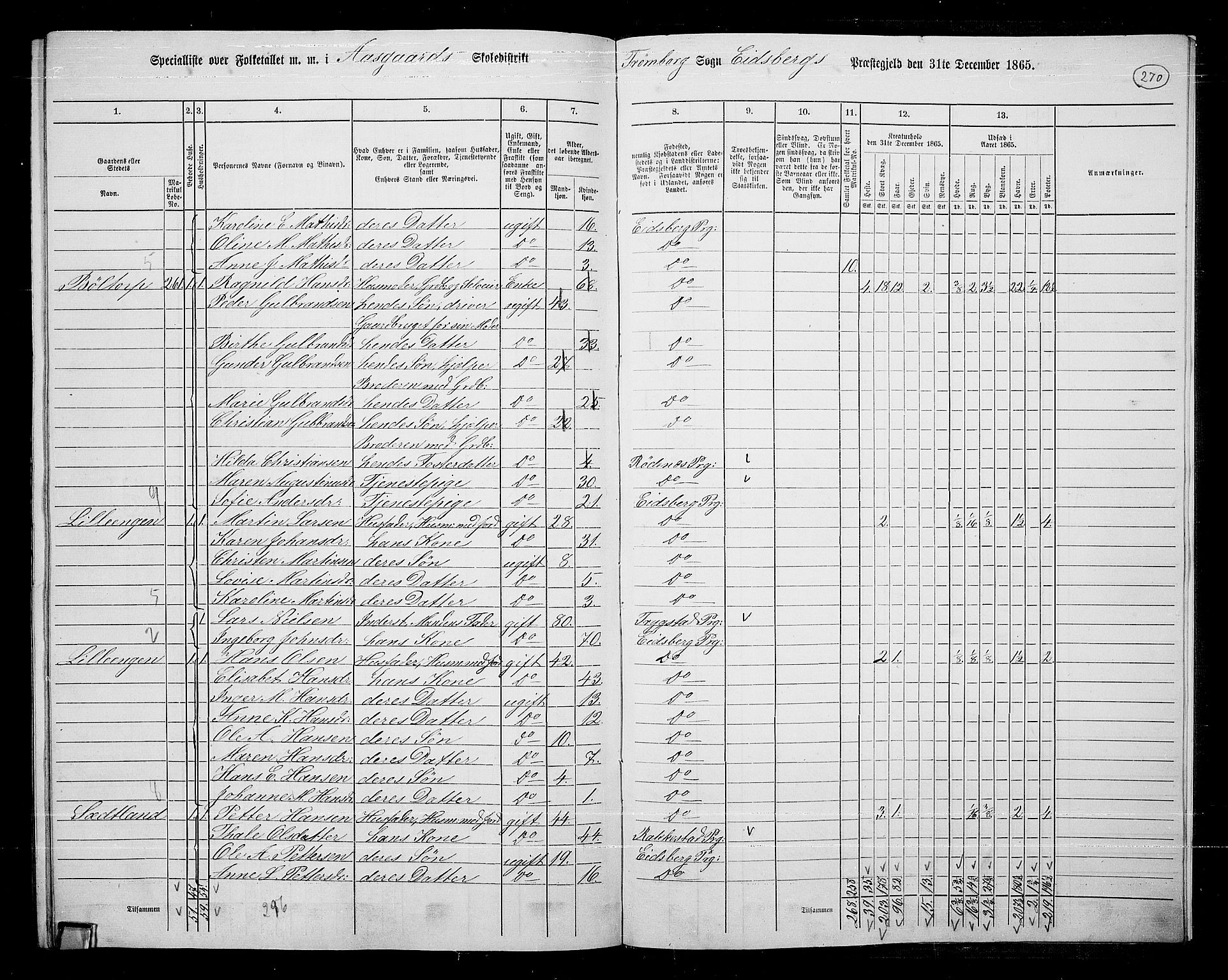 RA, 1865 census for Eidsberg, 1865, p. 246