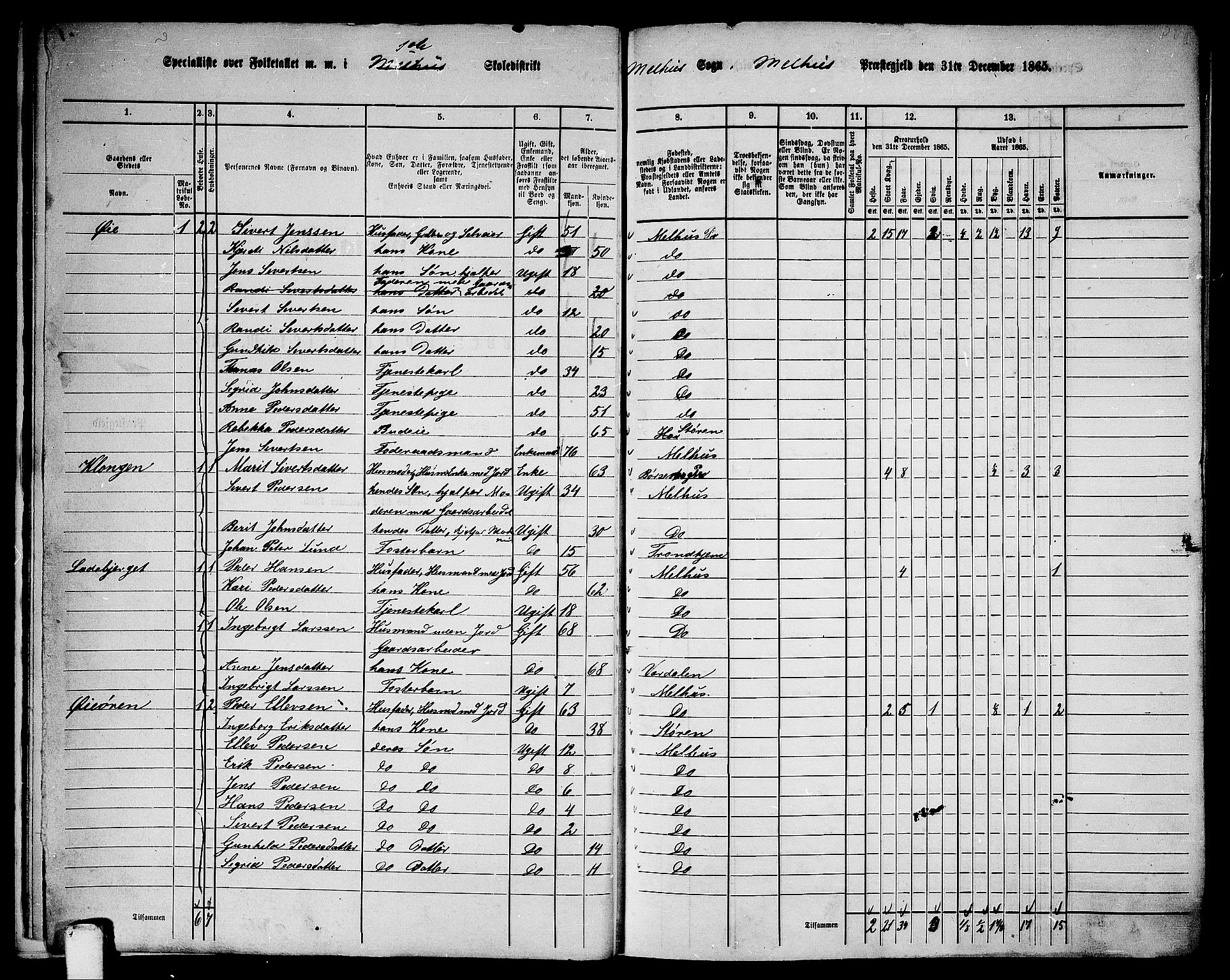 RA, 1865 census for Melhus, 1865, p. 16