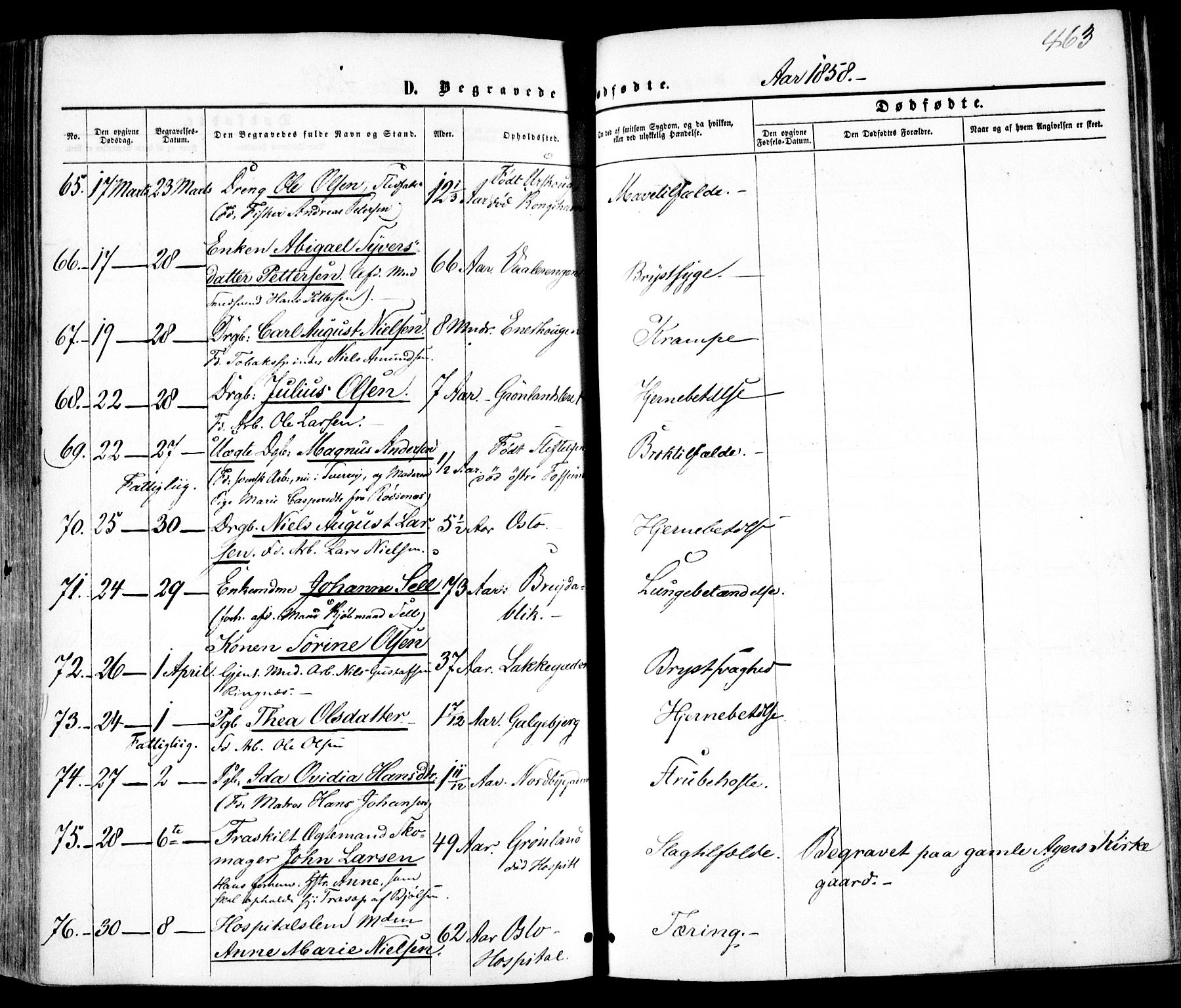 Vestre Aker prestekontor Kirkebøker, AV/SAO-A-10025/F/Fa/L0004: Parish register (official) no. 4, 1857-1877, p. 463