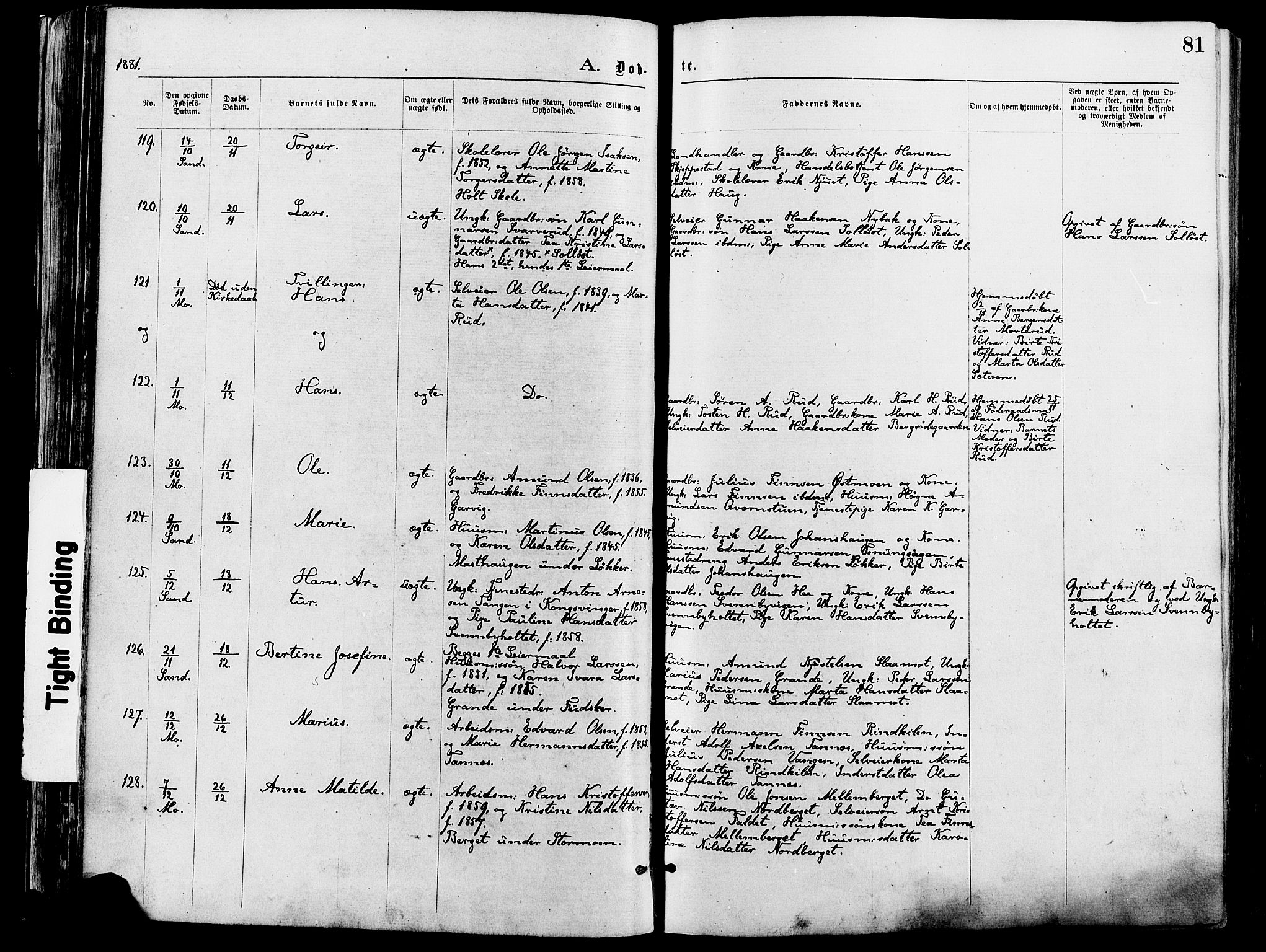 Nord-Odal prestekontor, AV/SAH-PREST-032/H/Ha/Haa/L0005: Parish register (official) no. 5, 1874-1885, p. 81