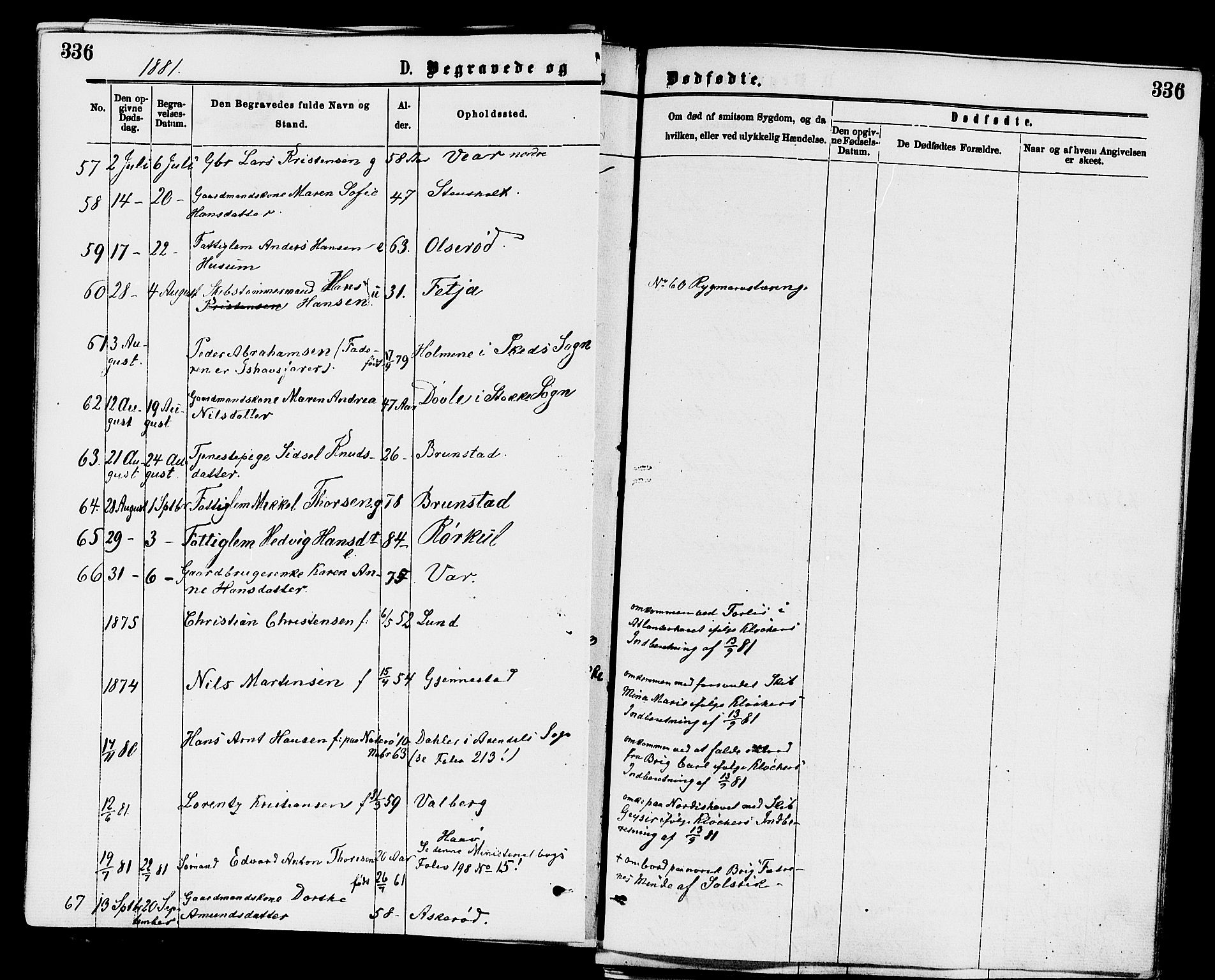 Stokke kirkebøker, AV/SAKO-A-320/F/Fa/L0009: Parish register (official) no. I 9, 1872-1883, p. 336