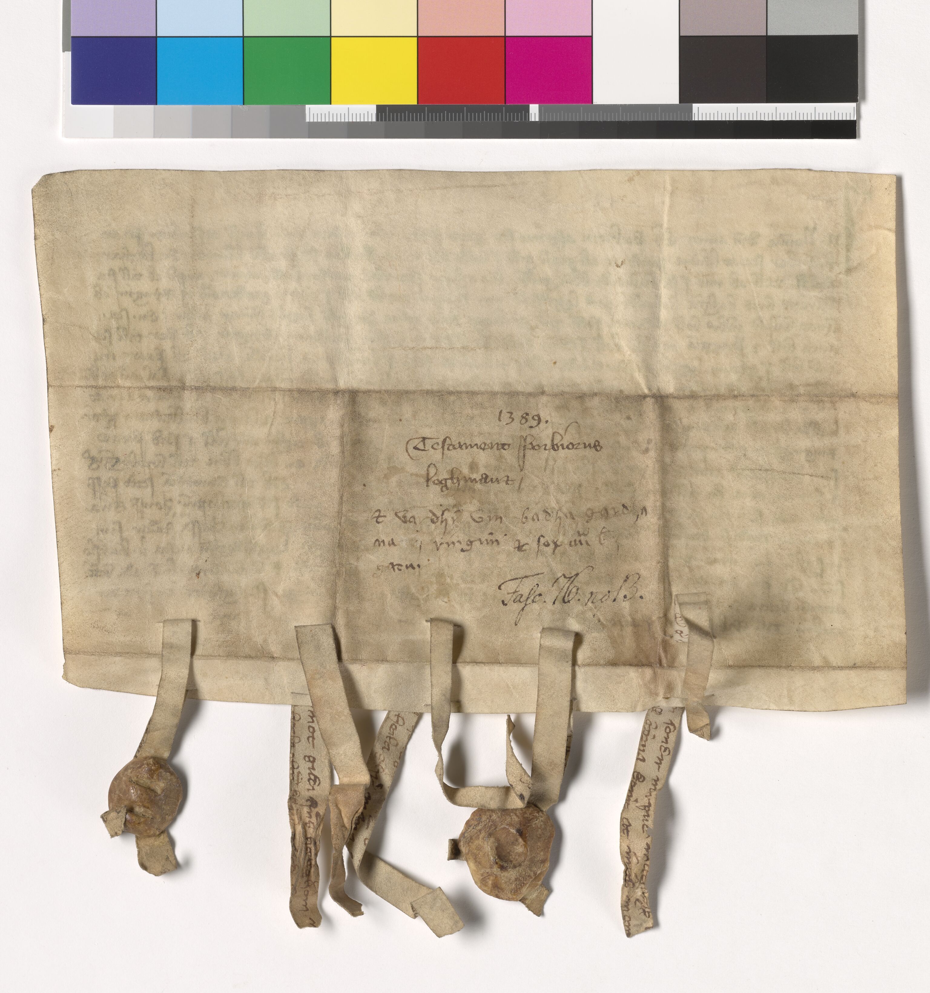Riksarkivets diplomsamling, AV/RA-EA-5965/F05/L0188: NRA AM fasc. 76 nr. 13-16, 1389, p. 3