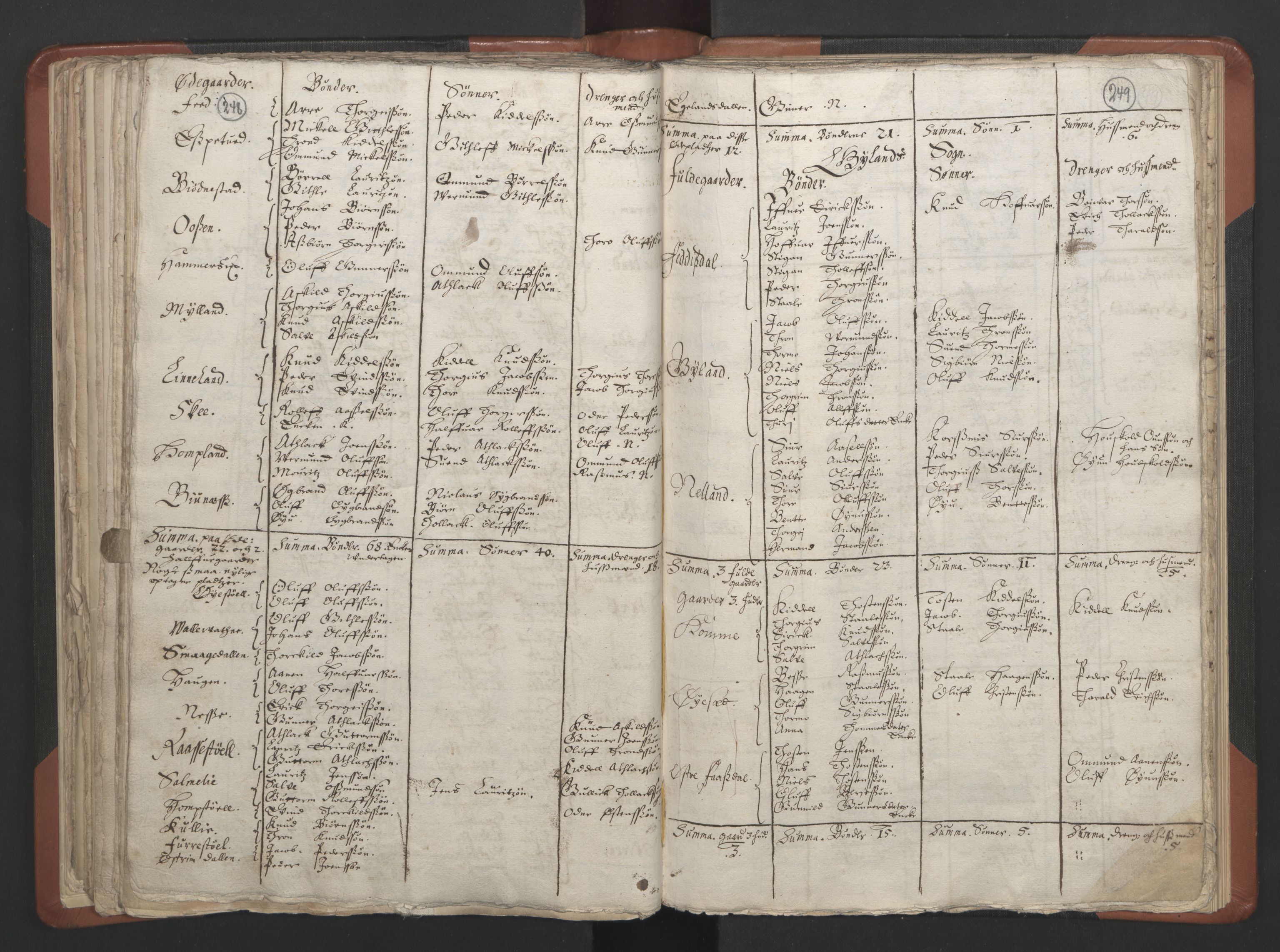 RA, Vicar's Census 1664-1666, no. 17: Jæren deanery and Dalane deanery, 1664-1666, p. 248-249