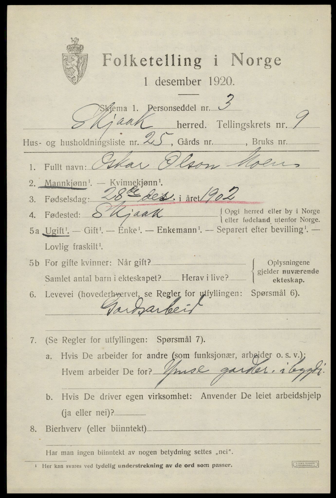 SAH, 1920 census for Skjåk, 1920, p. 4550