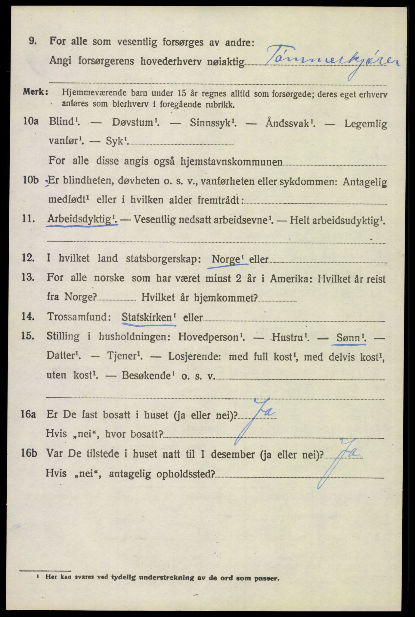 SAH, 1920 census for Trysil, 1920, p. 3162