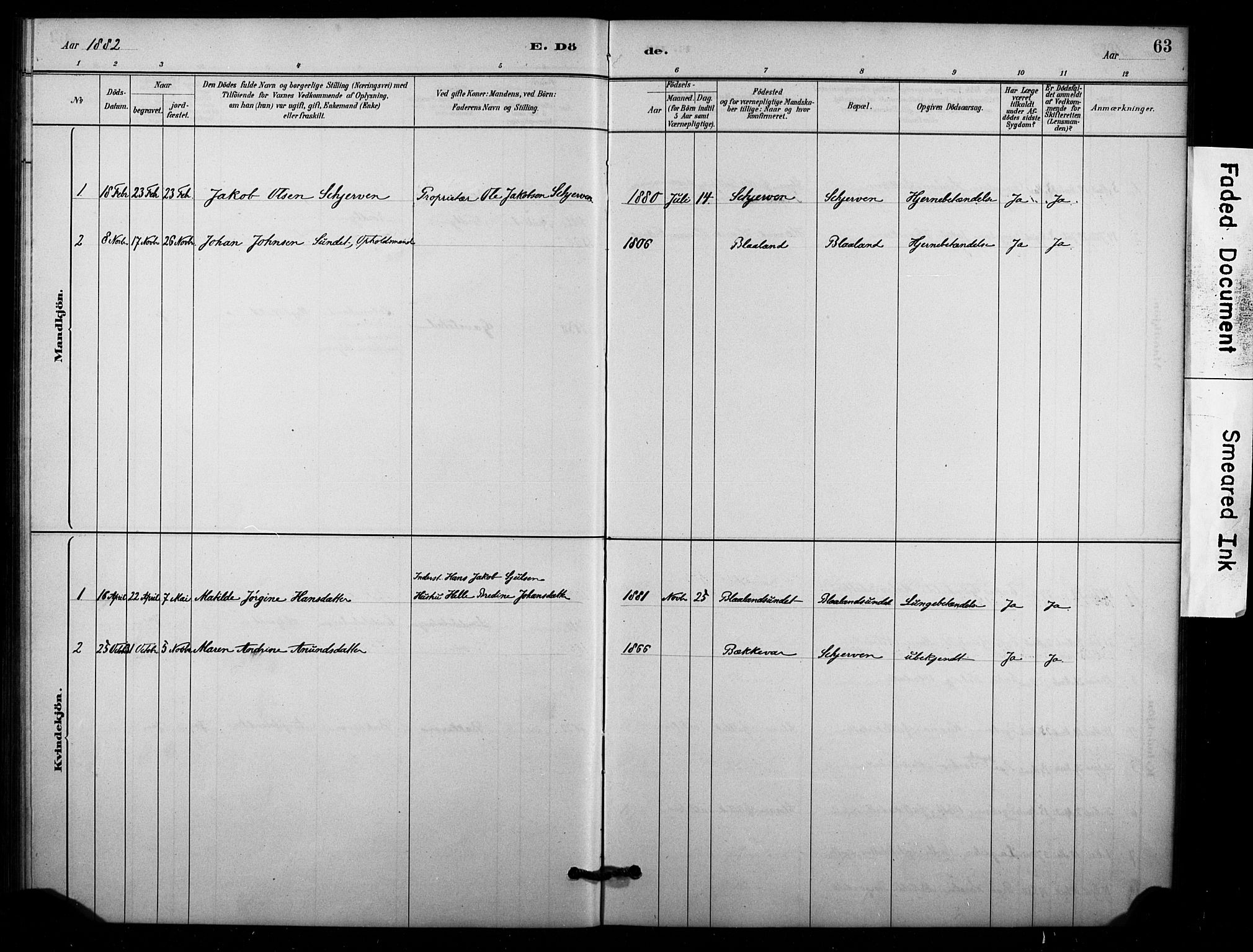 Lardal kirkebøker, SAKO/A-350/F/Fc/L0001: Parish register (official) no. III 1, 1881-1906, p. 63