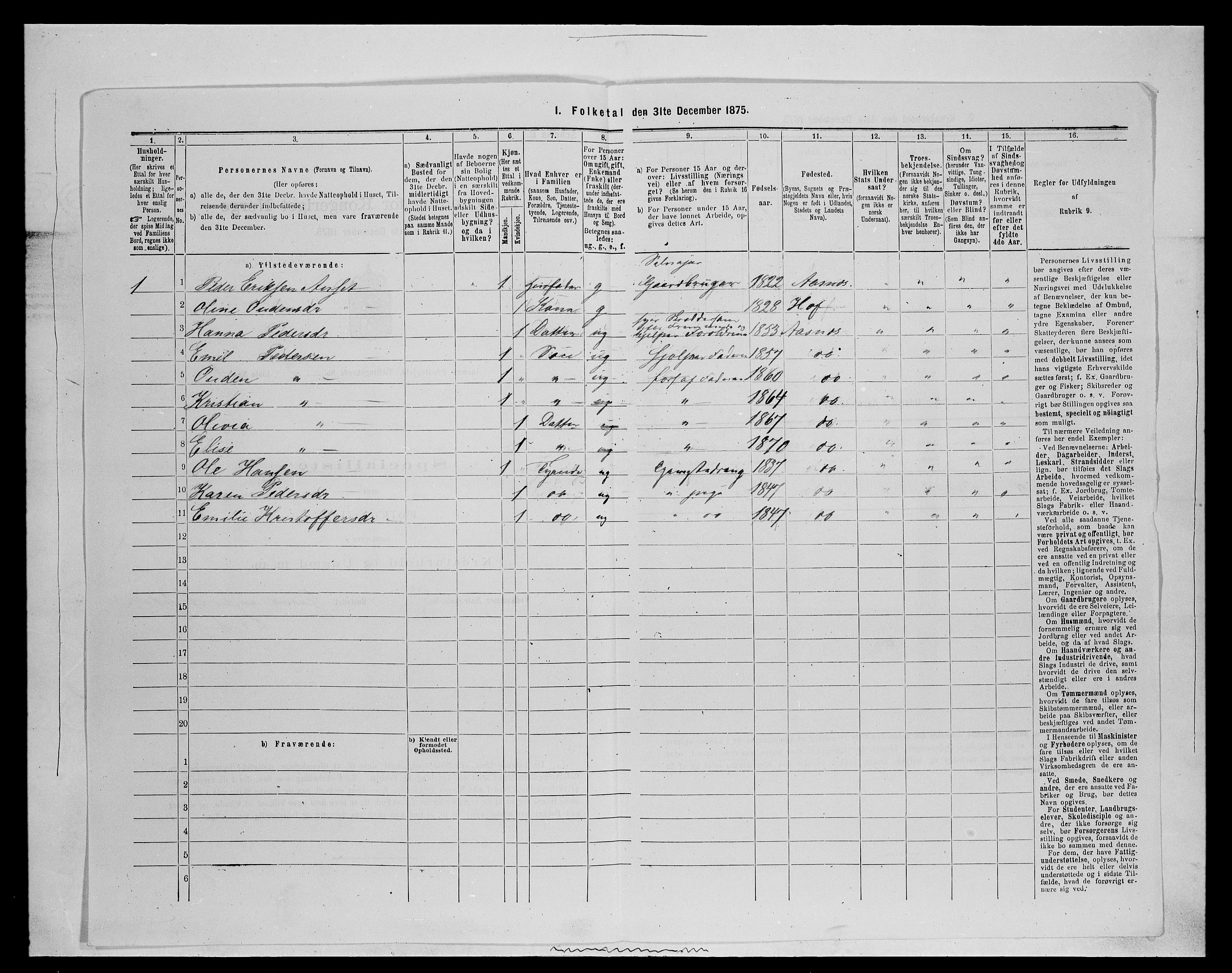 SAH, 1875 census for 0425P Åsnes, 1875, p. 313