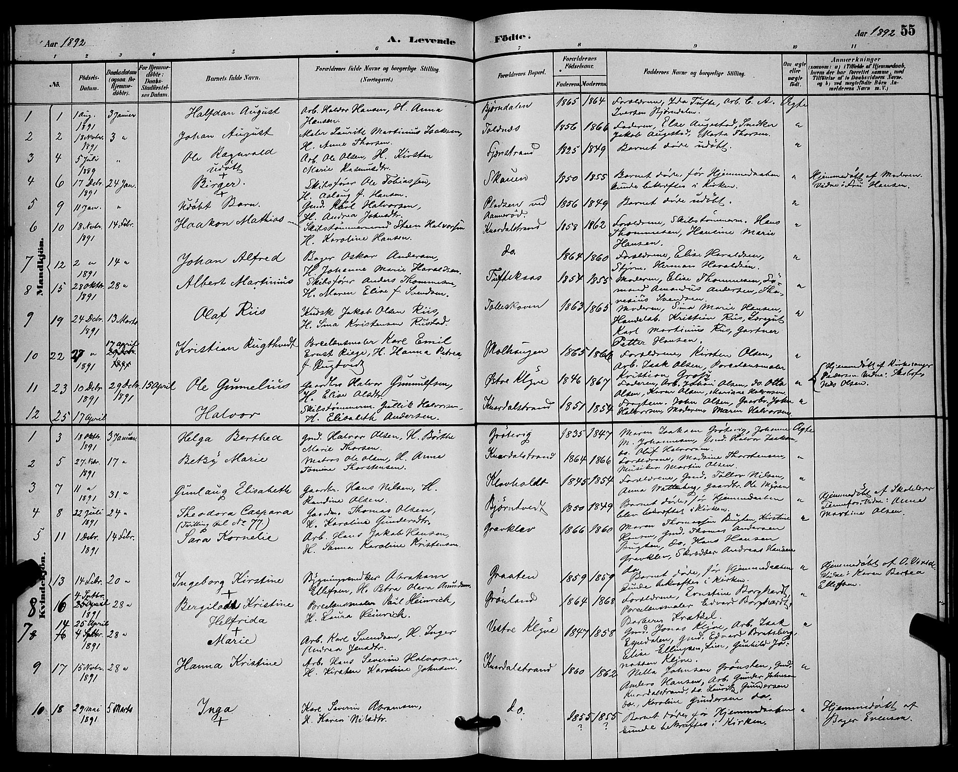 Solum kirkebøker, SAKO/A-306/G/Ga/L0007: Parish register (copy) no. I 7, 1884-1898, p. 55