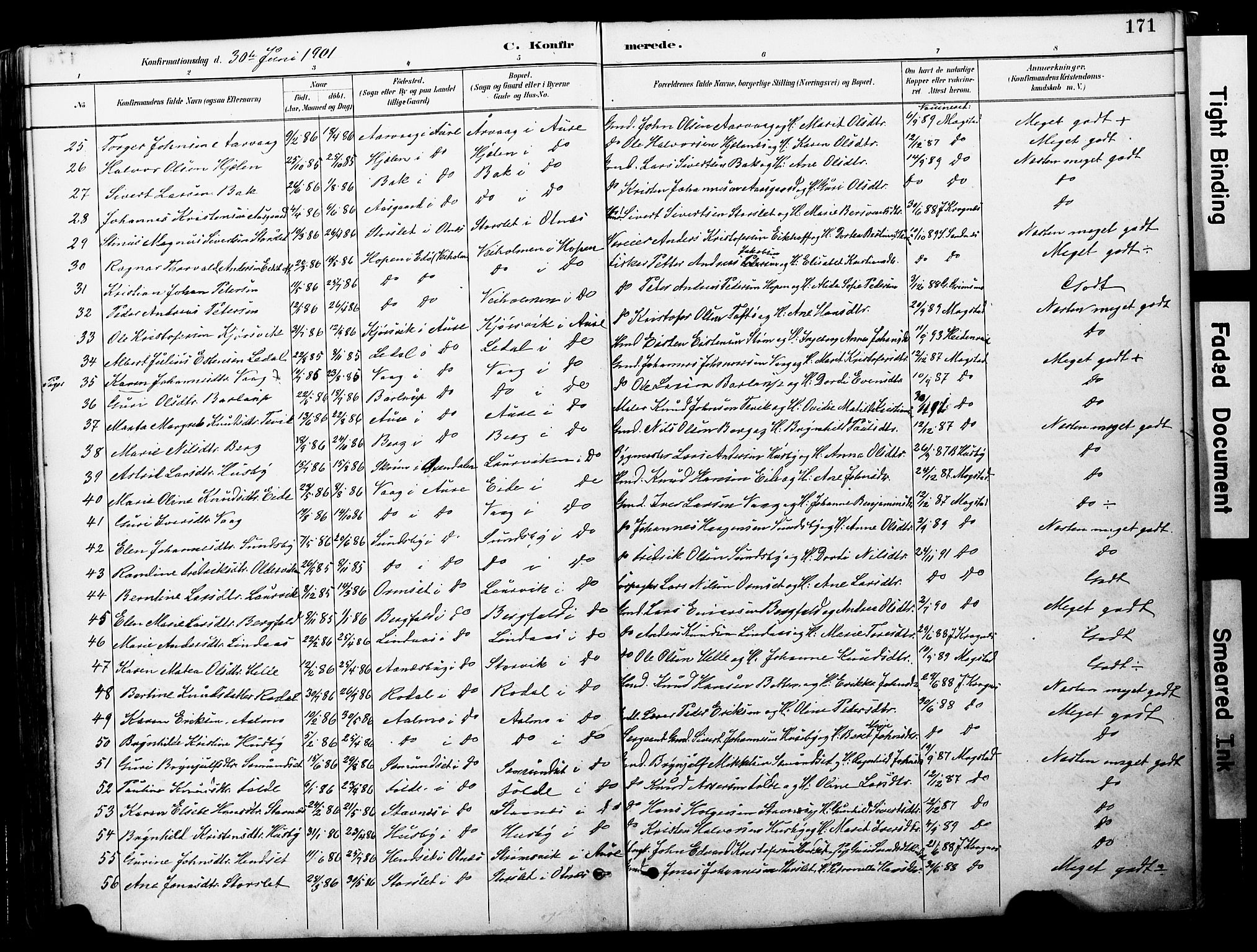 Ministerialprotokoller, klokkerbøker og fødselsregistre - Møre og Romsdal, AV/SAT-A-1454/578/L0907: Parish register (official) no. 578A06, 1887-1904, p. 171