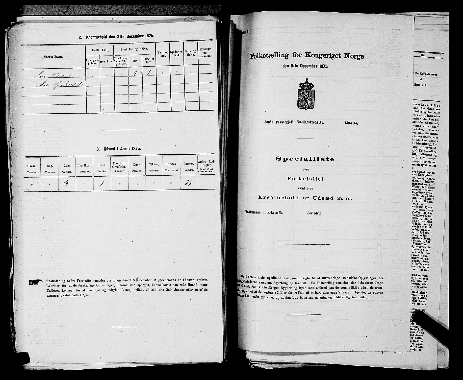 SAKO, 1875 census for 0821P Bø, 1875, p. 782