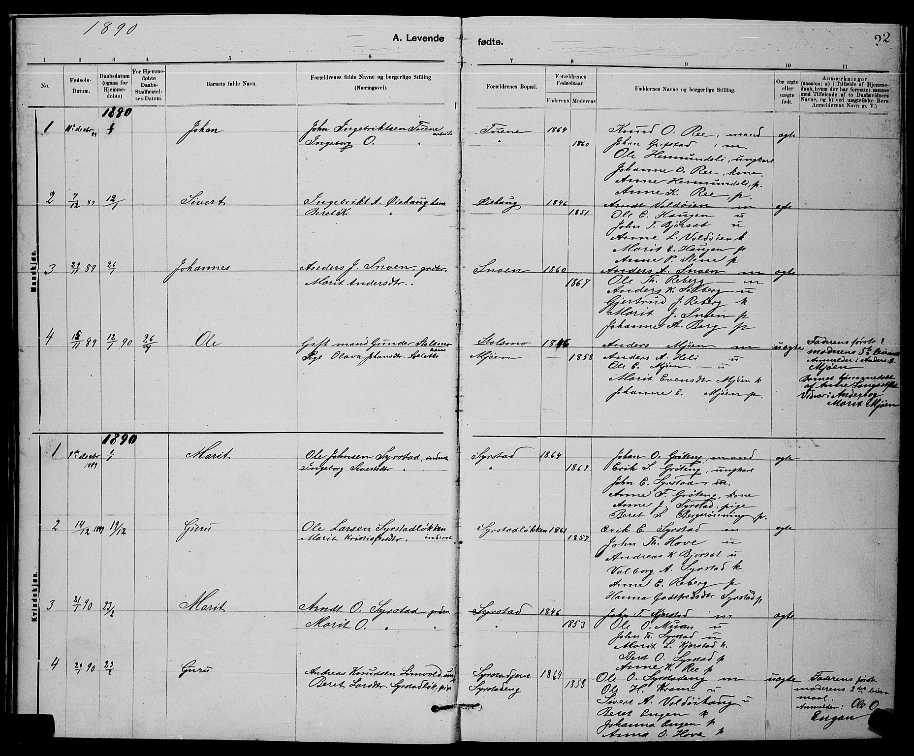 Ministerialprotokoller, klokkerbøker og fødselsregistre - Sør-Trøndelag, AV/SAT-A-1456/672/L0863: Parish register (copy) no. 672C02, 1888-1901, p. 22