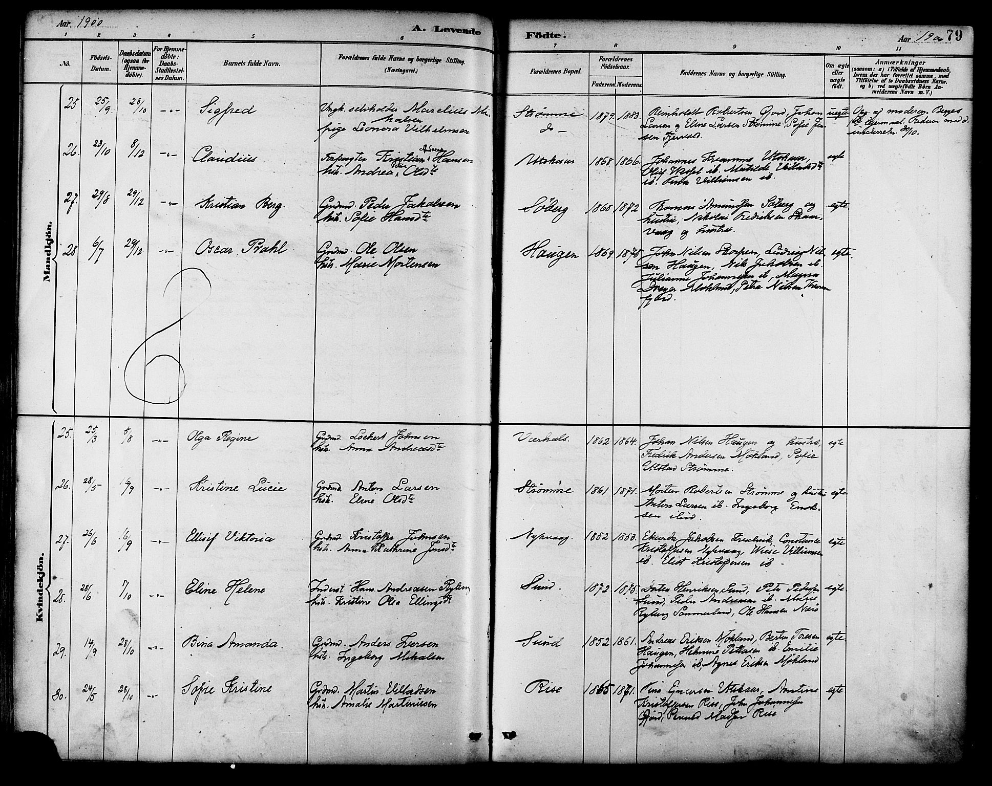 Ministerialprotokoller, klokkerbøker og fødselsregistre - Nordland, AV/SAT-A-1459/892/L1320: Parish register (official) no. 892A01, 1886-1901, p. 79