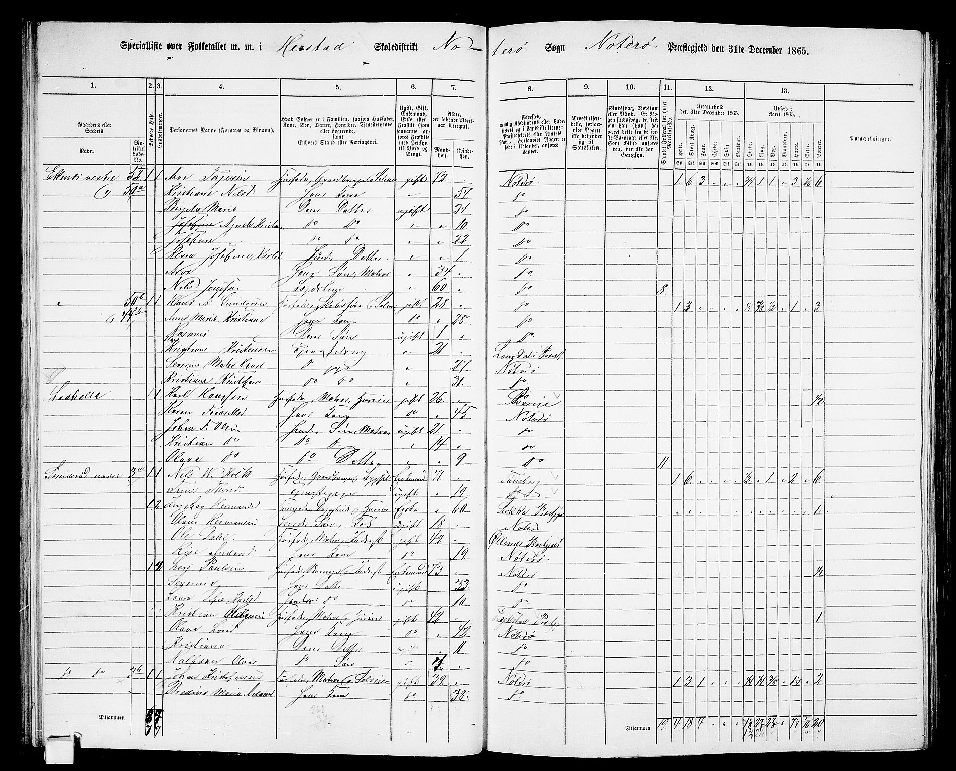 RA, 1865 census for Nøtterøy, 1865, p. 36