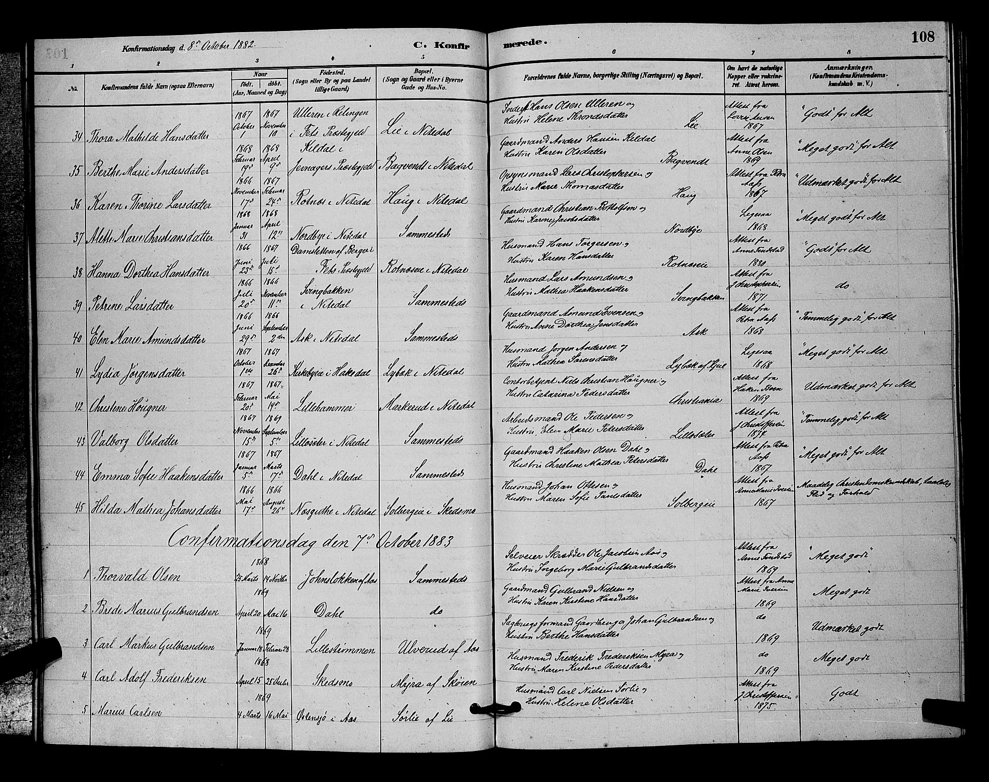 Nittedal prestekontor Kirkebøker, SAO/A-10365a/G/Ga/L0002: Parish register (copy) no. I 2, 1879-1901, p. 108