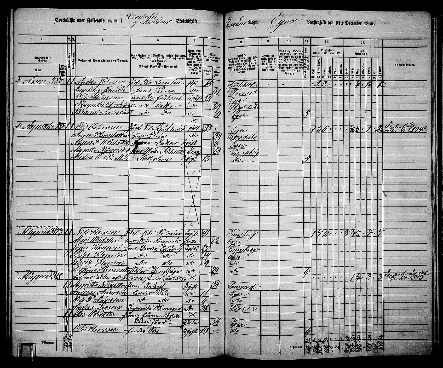 RA, 1865 census for Eiker, 1865, p. 512