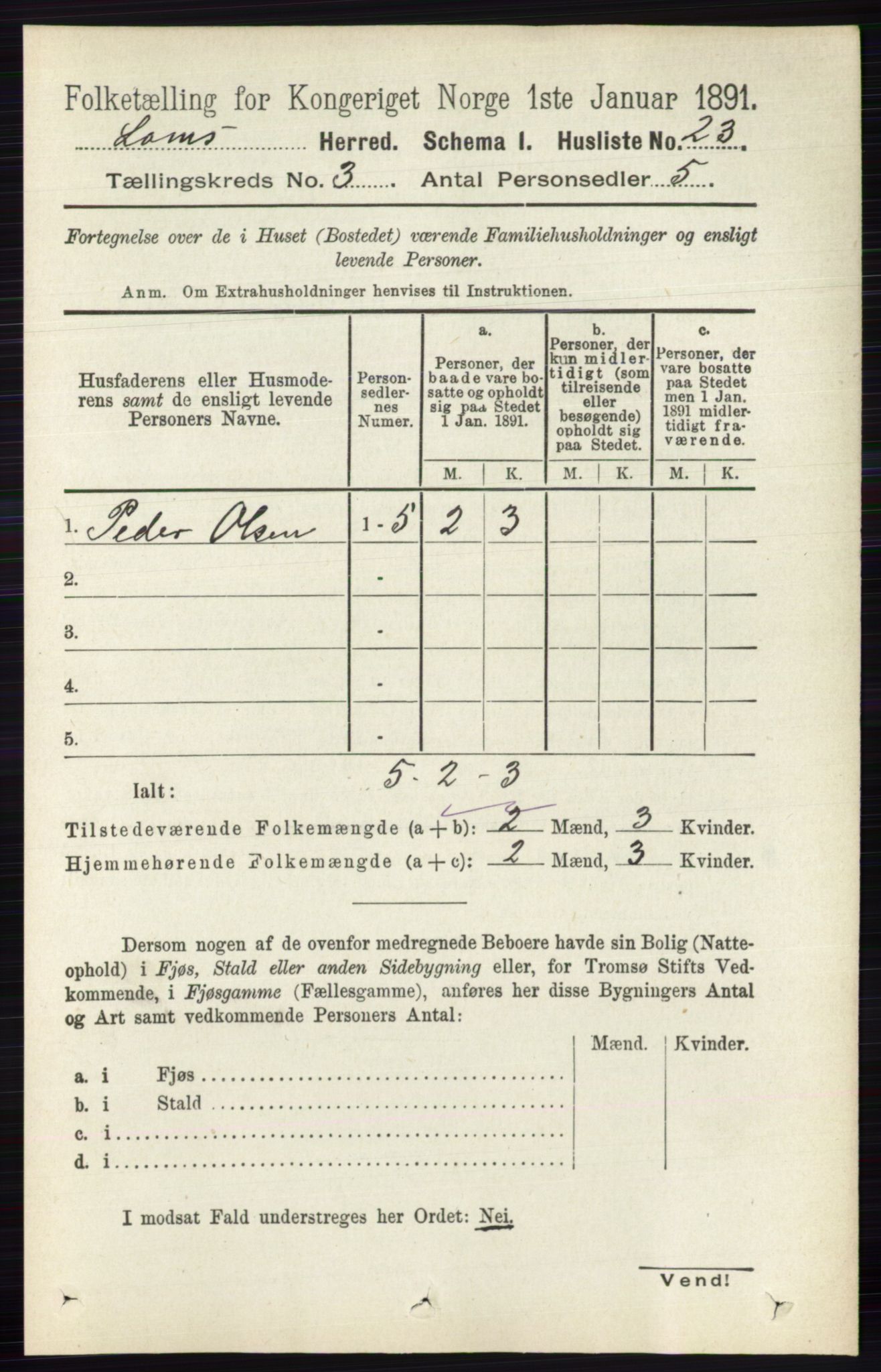 RA, 1891 census for 0514 Lom, 1891, p. 1247