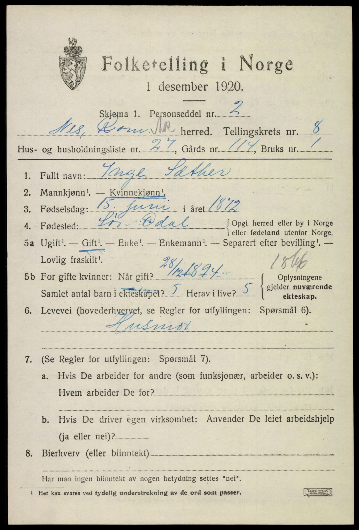 SAO, 1920 census for Nes, 1920, p. 9656