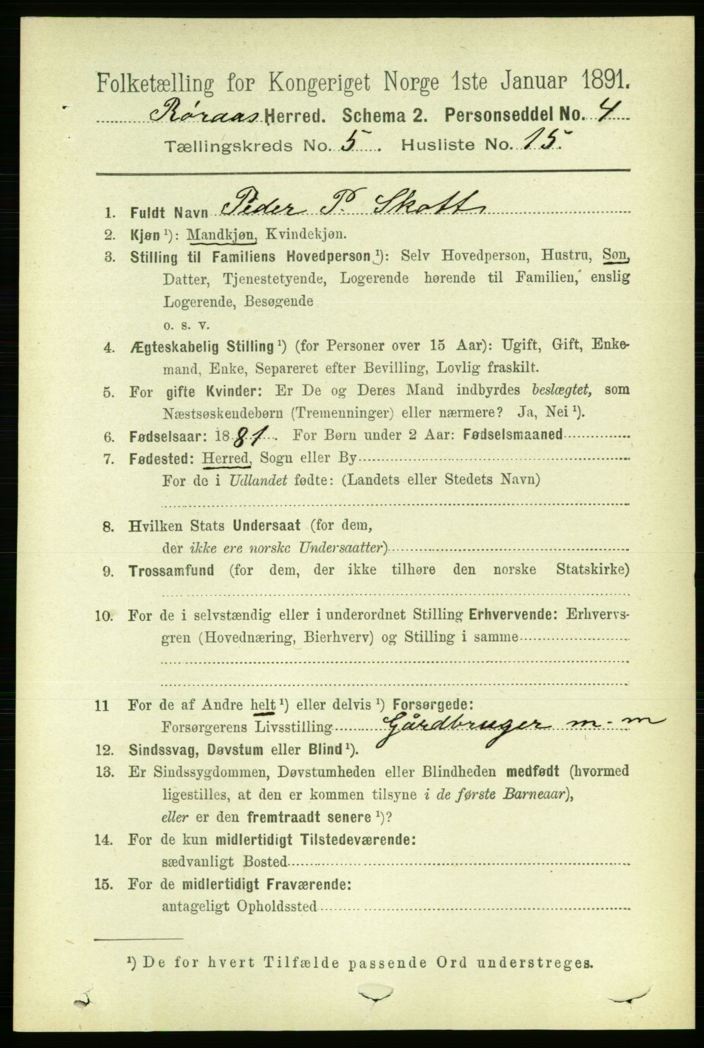 RA, 1891 census for 1640 Røros, 1891, p. 1104