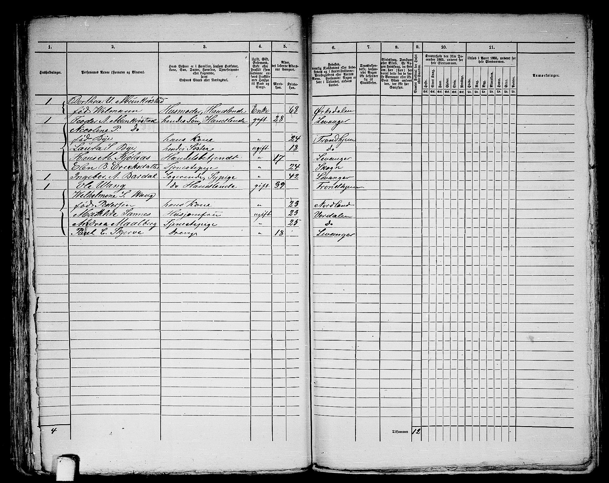 RA, 1865 census for Levanger/Levanger, 1865, p. 102