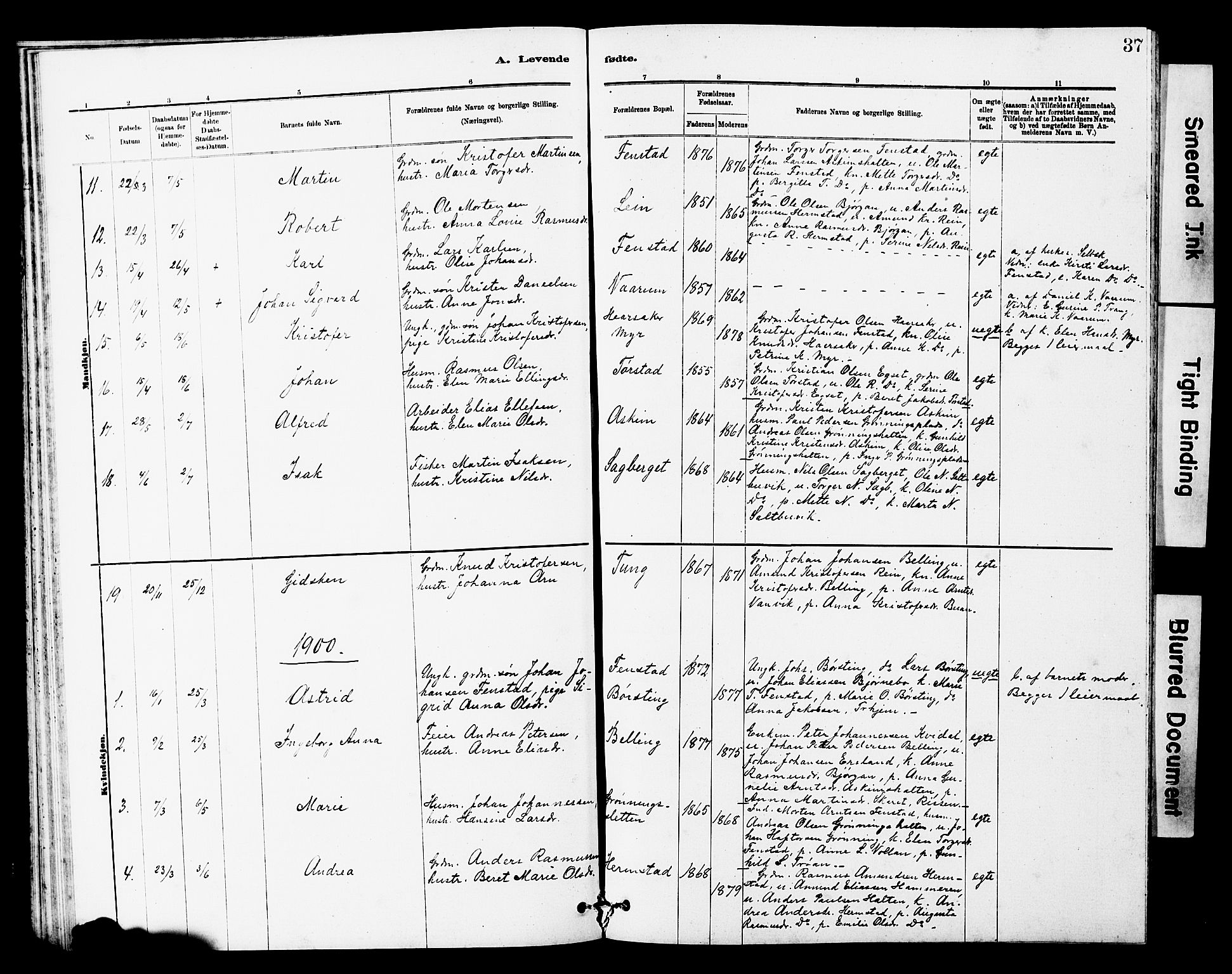 Ministerialprotokoller, klokkerbøker og fødselsregistre - Sør-Trøndelag, SAT/A-1456/646/L0628: Parish register (copy) no. 646C01, 1880-1903, p. 37