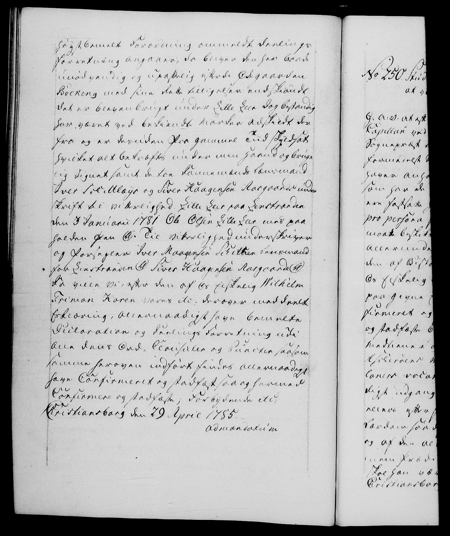 Danske Kanselli 1572-1799, AV/RA-EA-3023/F/Fc/Fca/Fcaa/L0050: Norske registre, 1784-1785, p. 596b