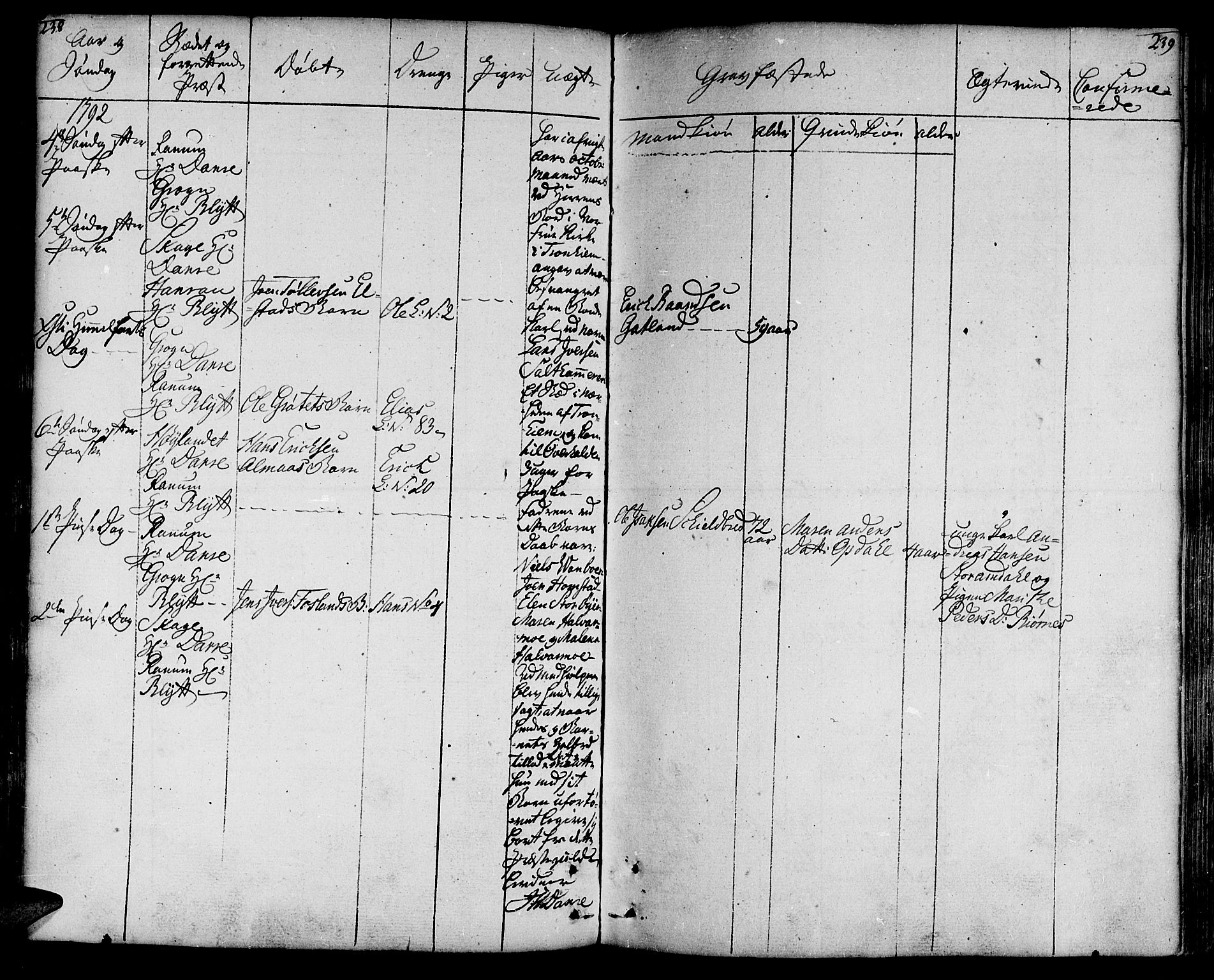 Ministerialprotokoller, klokkerbøker og fødselsregistre - Nord-Trøndelag, AV/SAT-A-1458/764/L0544: Parish register (official) no. 764A04, 1780-1798, p. 238-239