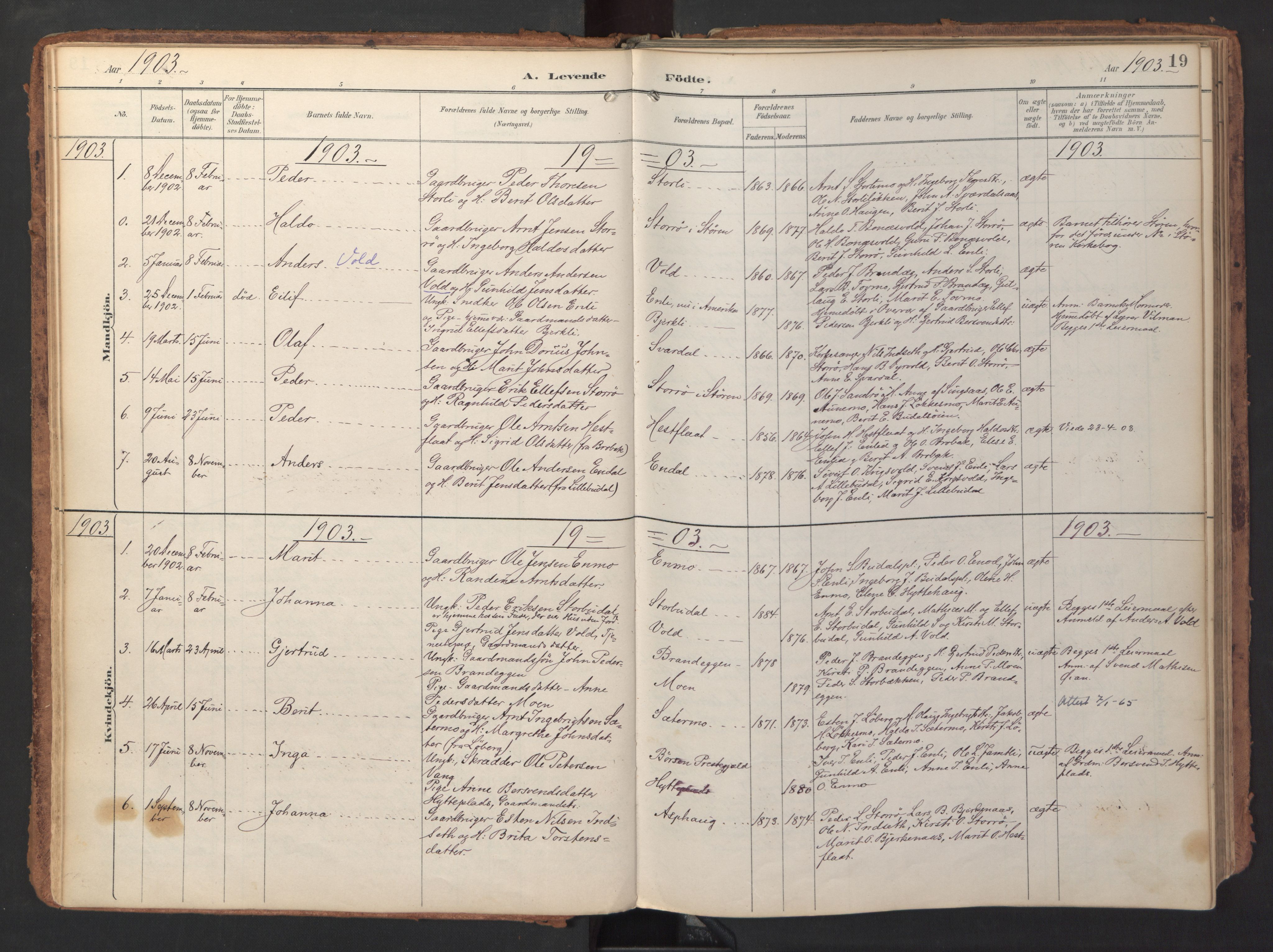 Ministerialprotokoller, klokkerbøker og fødselsregistre - Sør-Trøndelag, SAT/A-1456/690/L1050: Parish register (official) no. 690A01, 1889-1929, p. 19
