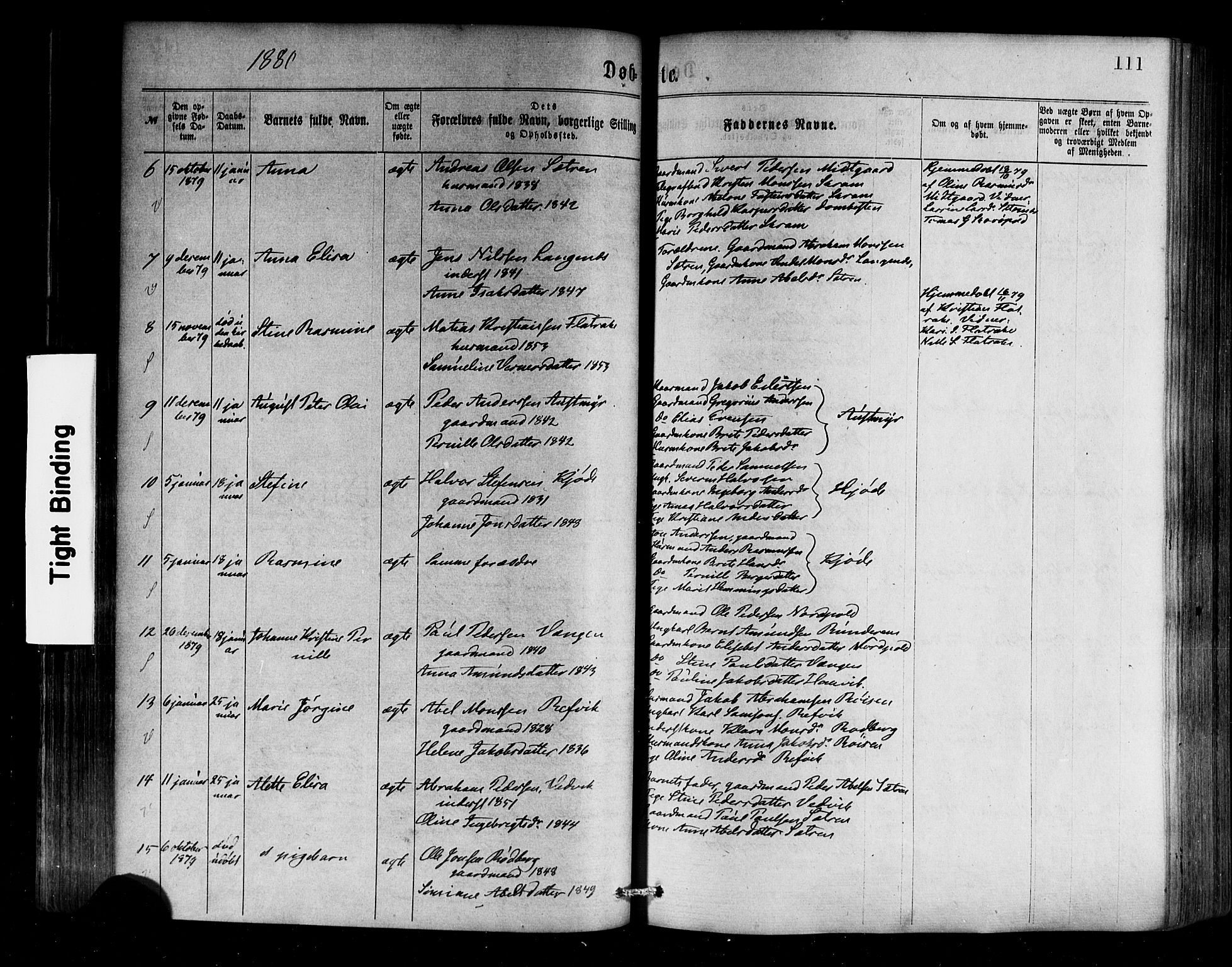 Selje sokneprestembete, SAB/A-99938/H/Ha/Haa/Haaa: Parish register (official) no. A 12, 1870-1880, p. 111