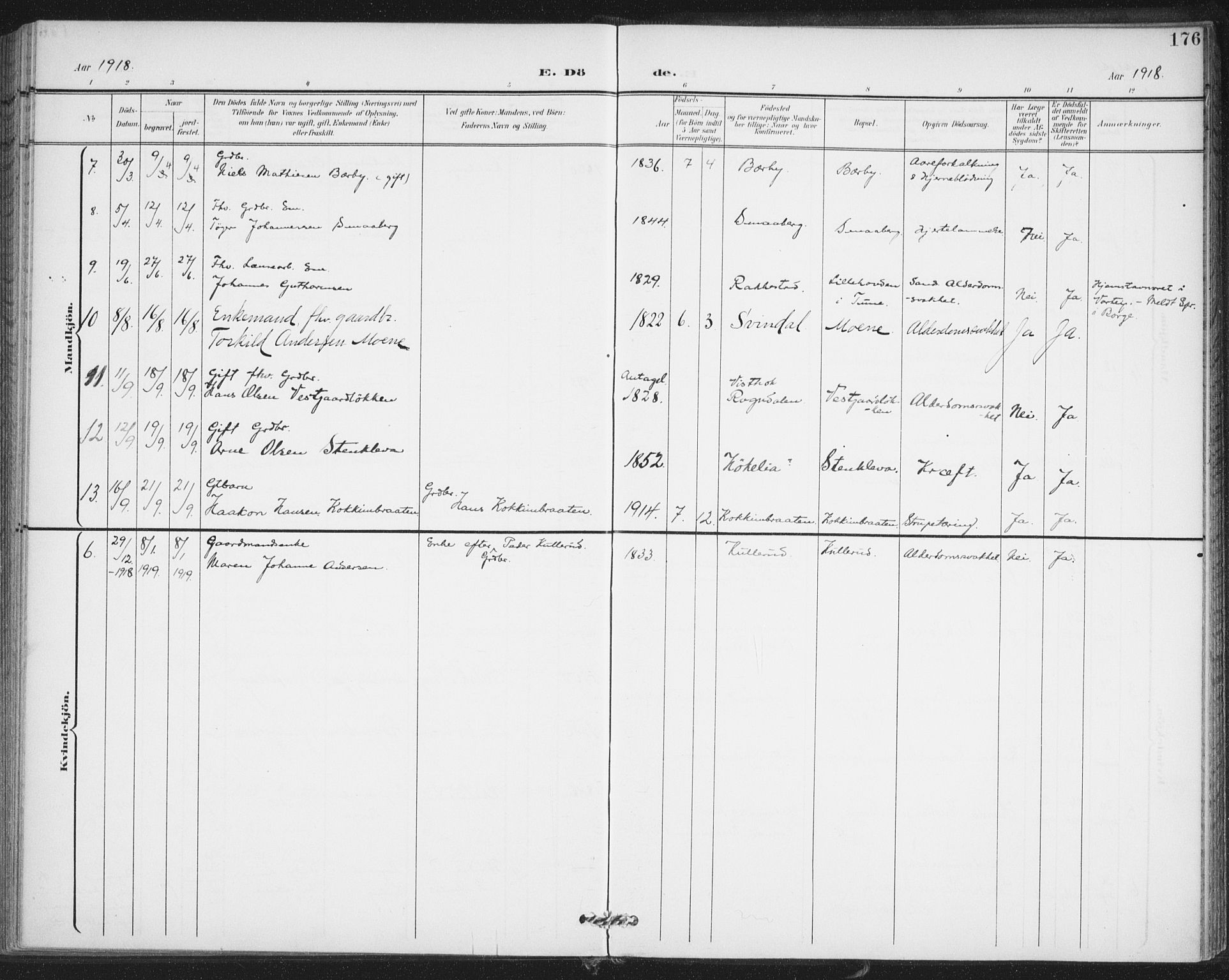 Varteig prestekontor Kirkebøker, SAO/A-10447a/F/Fa/L0003: Parish register (official) no. 3, 1899-1919, p. 176