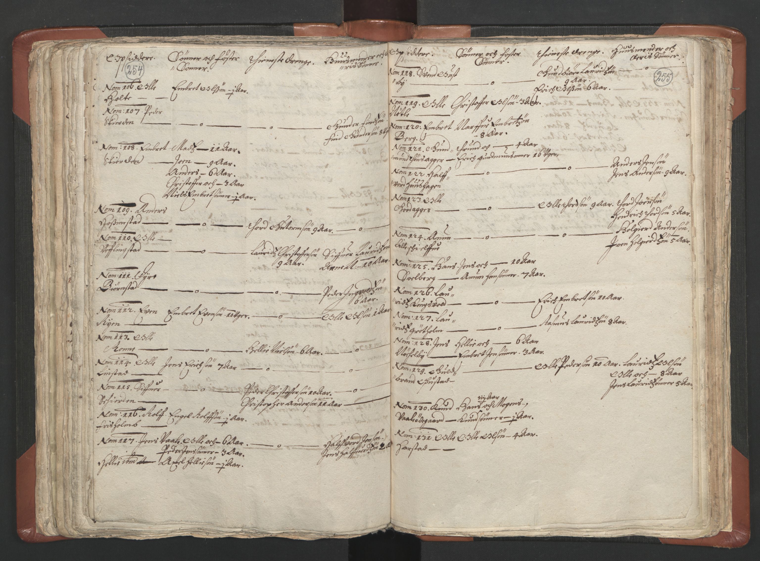 RA, Vicar's Census 1664-1666, no. 5: Hedmark deanery, 1664-1666, p. 254-255