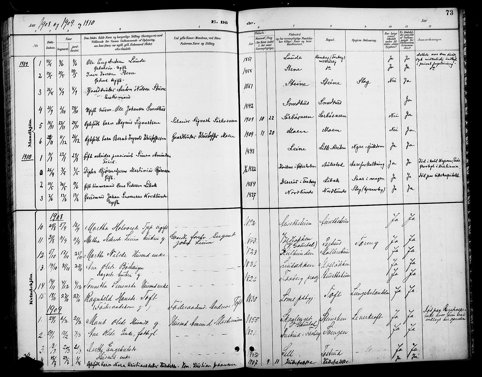 Østre Gausdal prestekontor, AV/SAH-PREST-092/H/Ha/Hab/L0003: Parish register (copy) no. 3, 1894-1915, p. 73