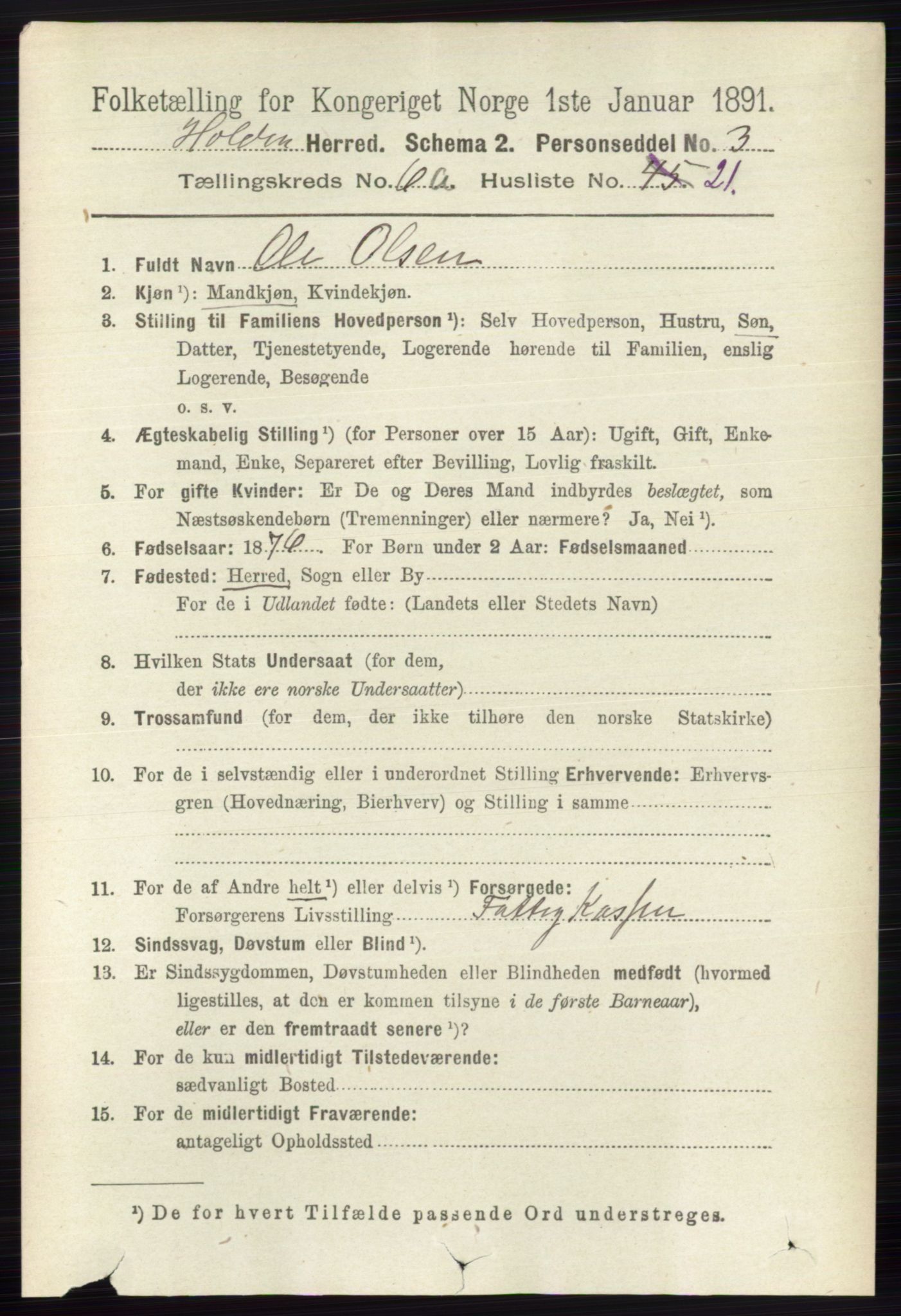 RA, 1891 census for 0819 Holla, 1891, p. 2983