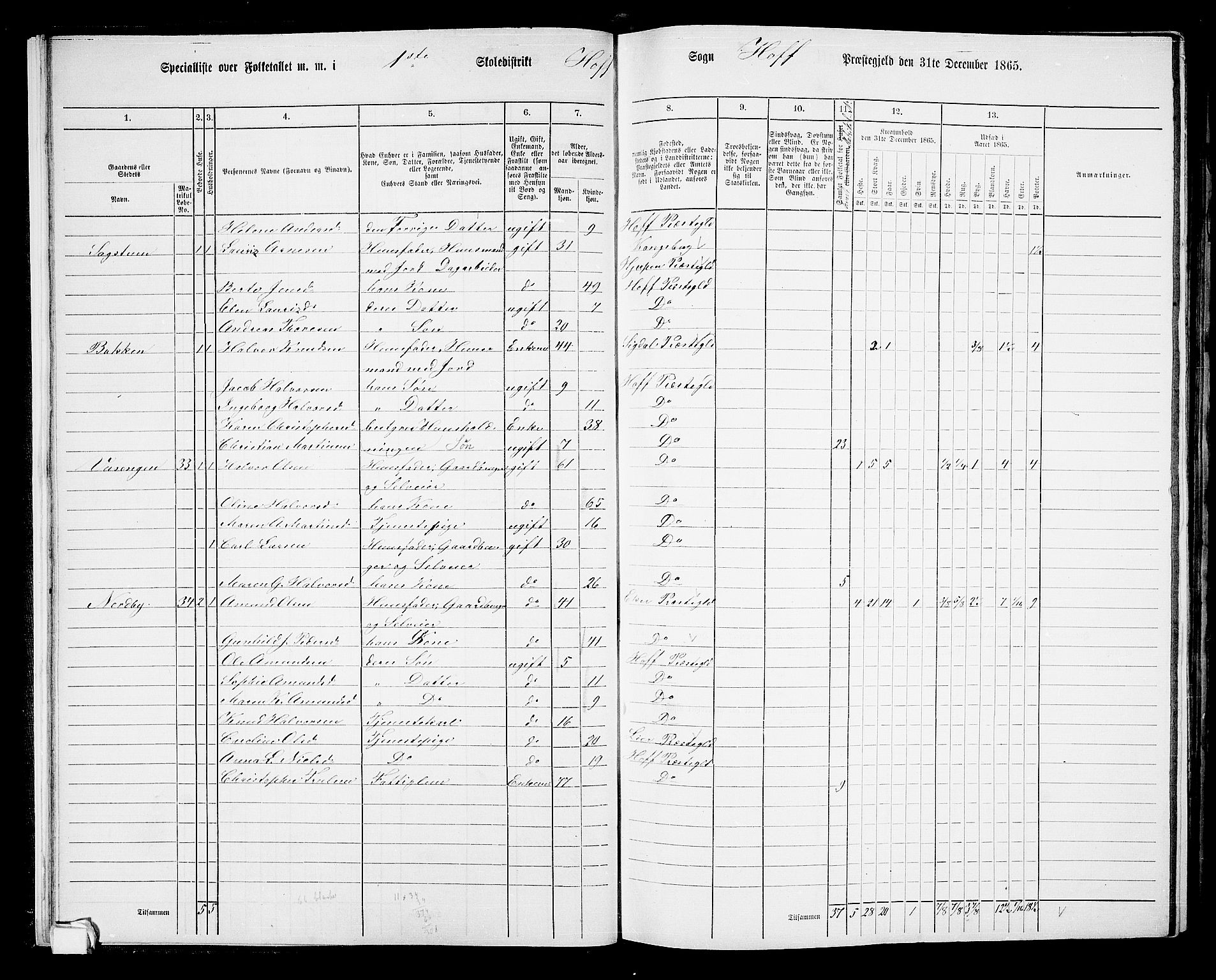 RA, 1865 census for Hof, 1865, p. 22