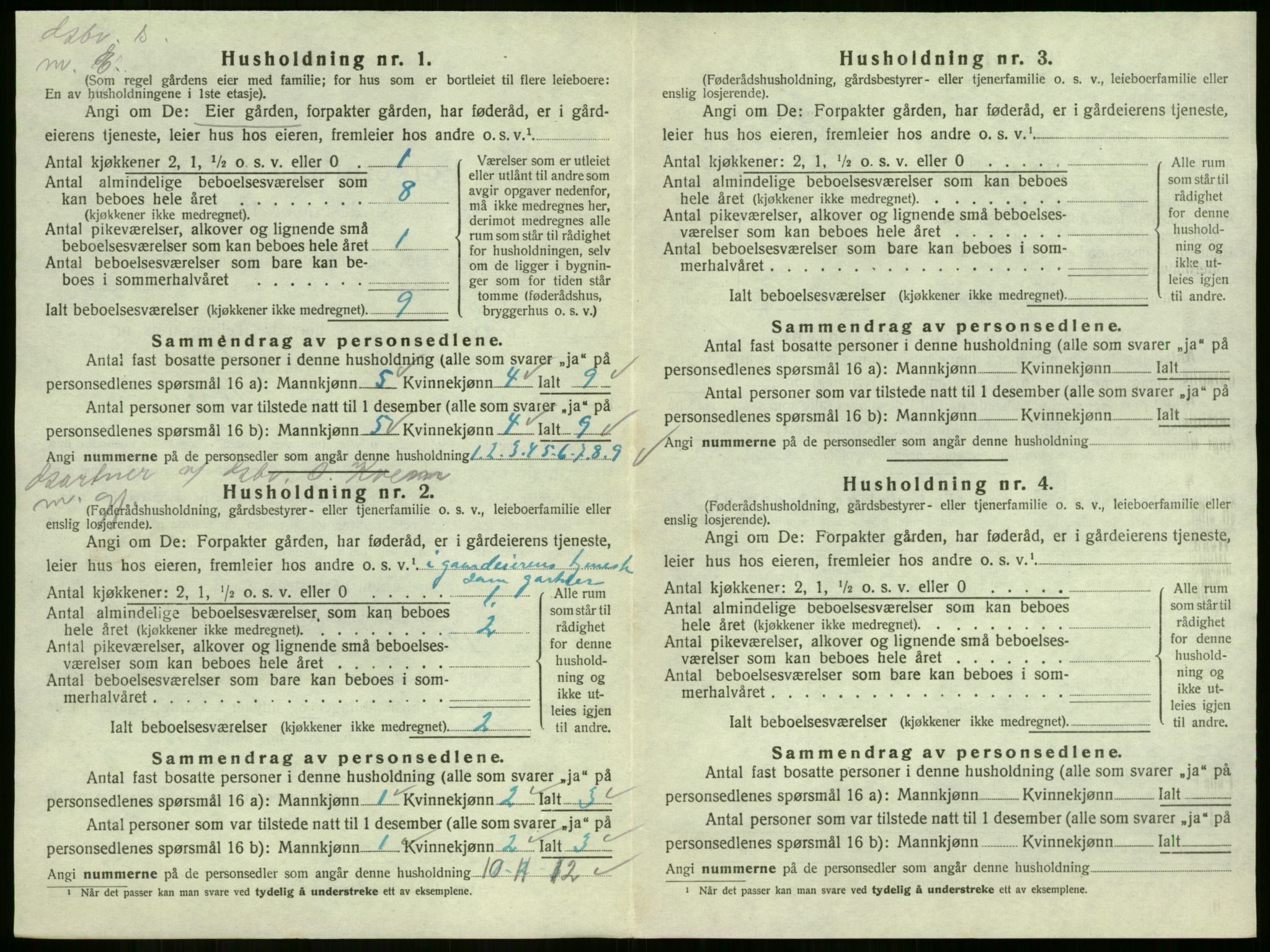 SAKO, 1920 census for Strømm, 1920, p. 237