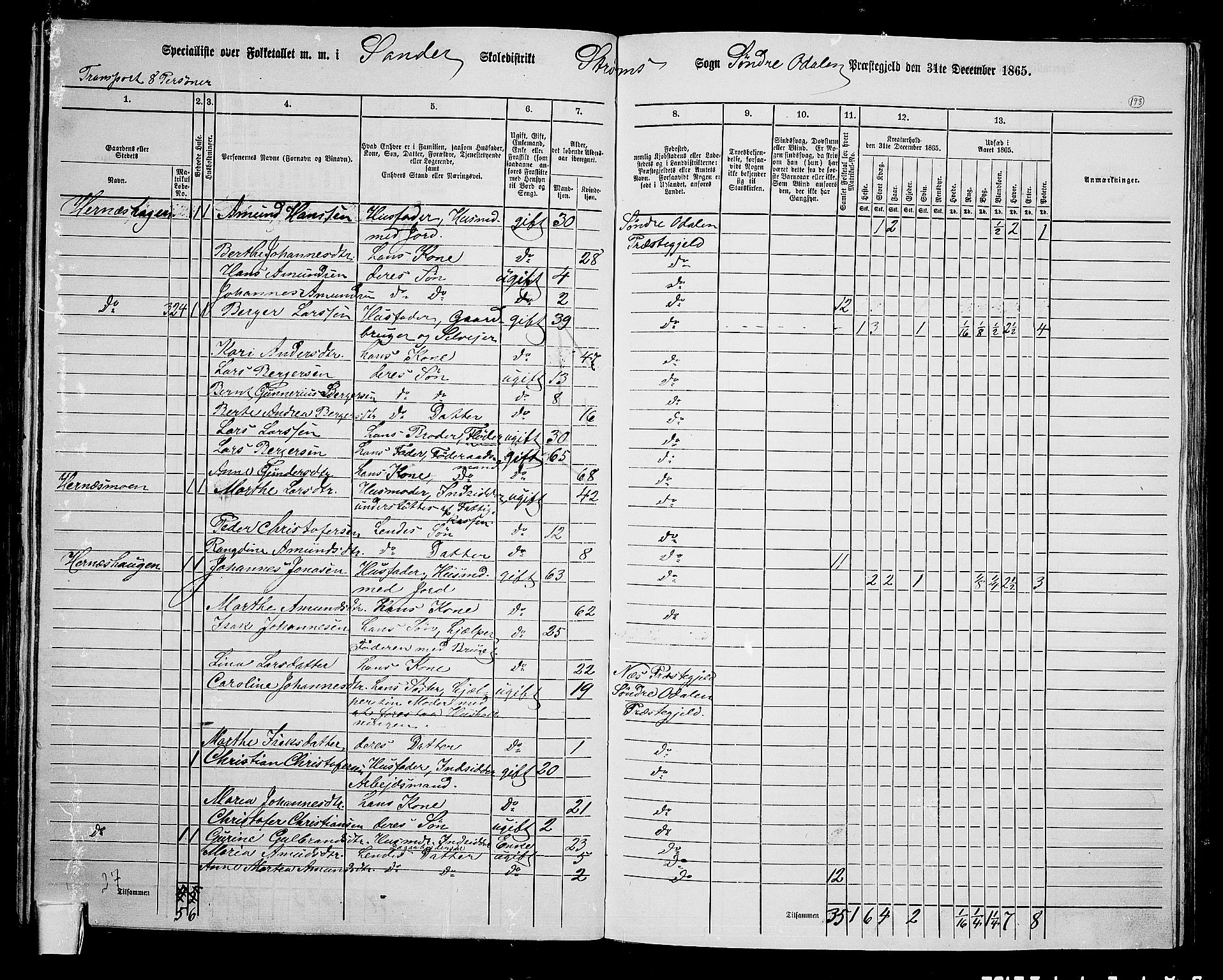 RA, 1865 census for Sør-Odal, 1865, p. 173