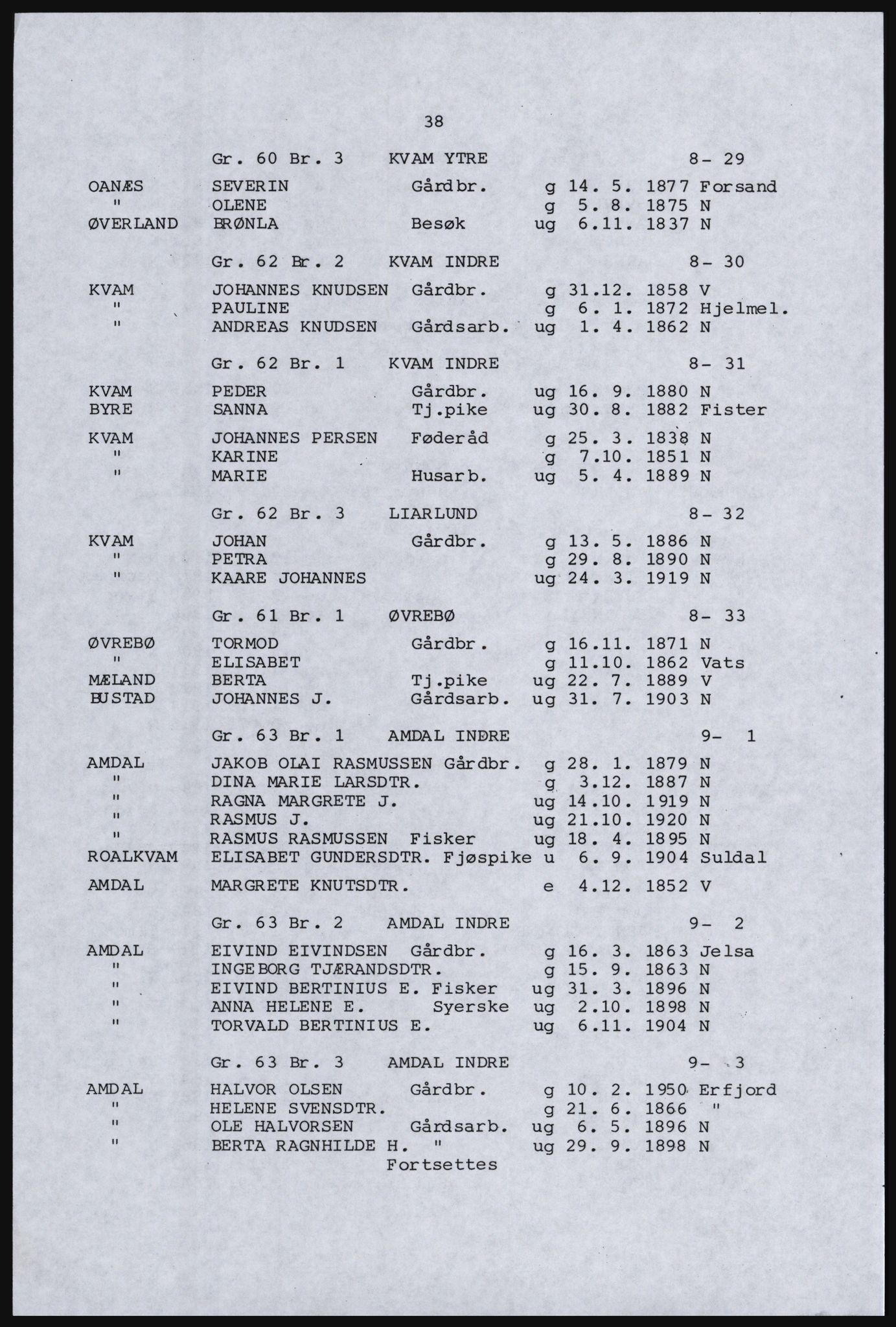 SAST, Copy of 1920 census for the Northern Rogaland, 1920, p. 46