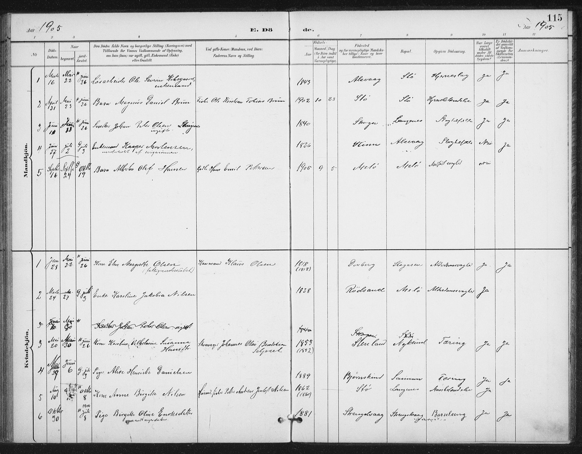 Ministerialprotokoller, klokkerbøker og fødselsregistre - Nordland, AV/SAT-A-1459/894/L1356: Parish register (official) no. 894A02, 1897-1914, p. 115