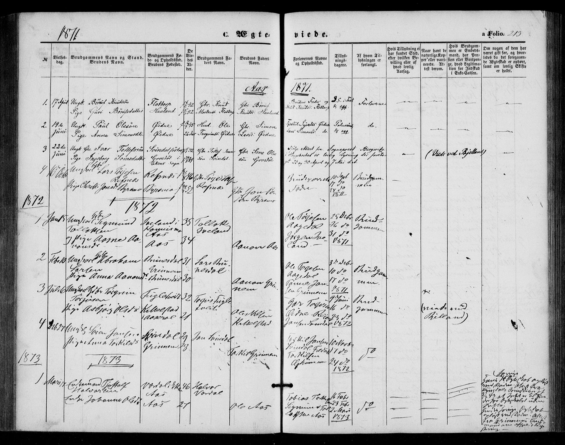 Bjelland sokneprestkontor, AV/SAK-1111-0005/F/Fa/Fac/L0002: Parish register (official) no. A 2, 1866-1887, p. 213