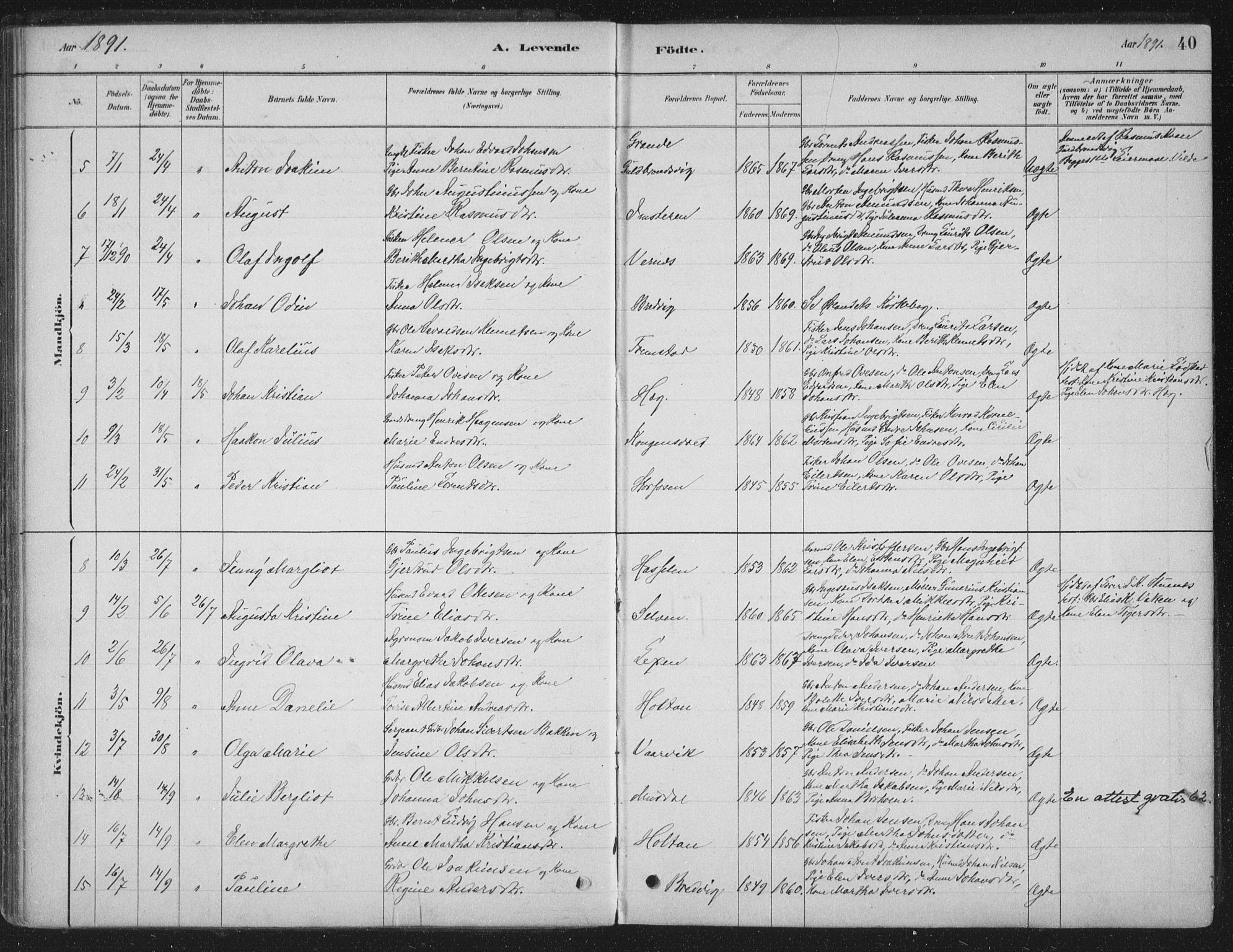Ministerialprotokoller, klokkerbøker og fødselsregistre - Sør-Trøndelag, SAT/A-1456/662/L0755: Parish register (official) no. 662A01, 1879-1905, p. 40