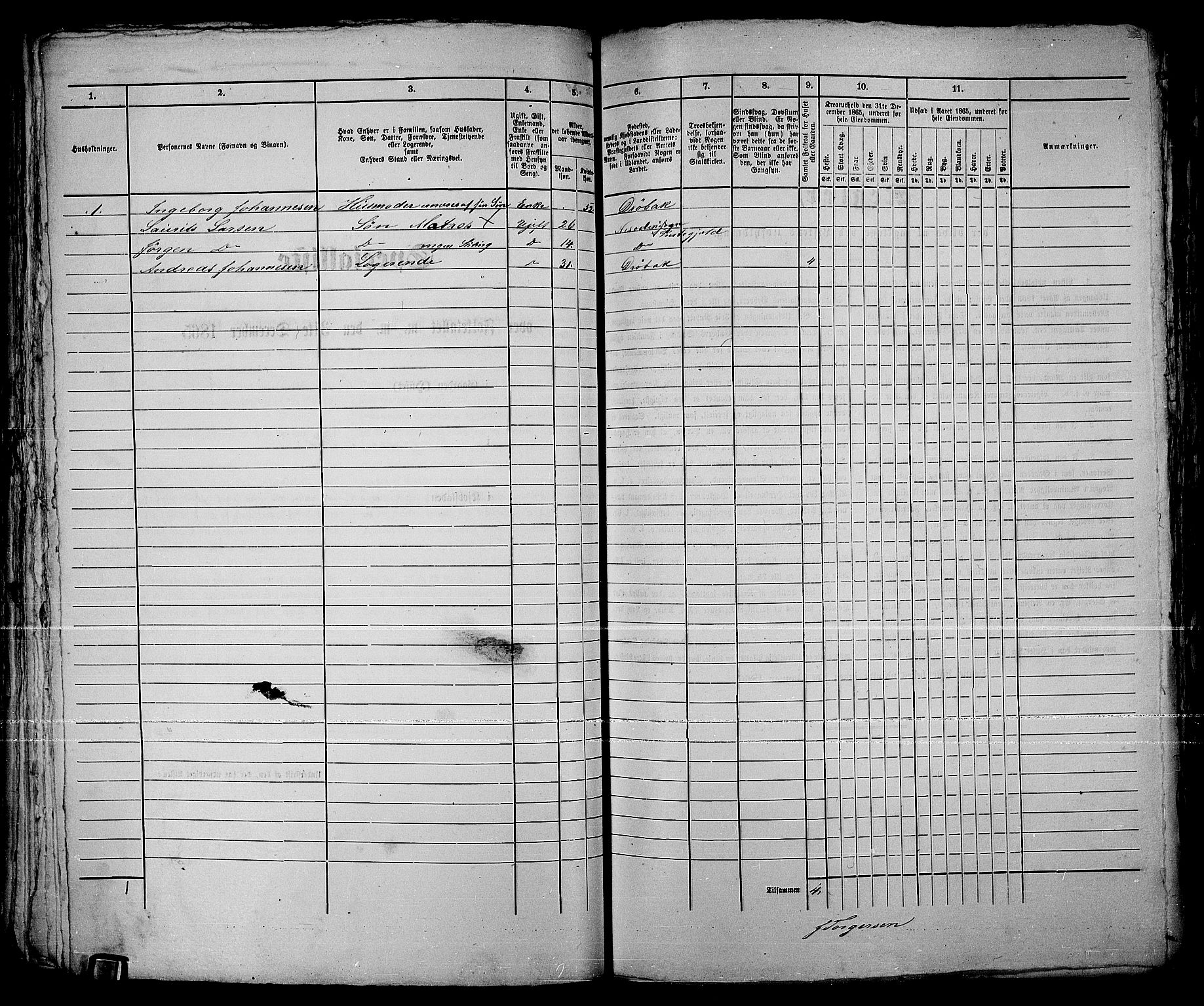 RA, 1865 census for Drøbak/Drøbak, 1865, p. 209