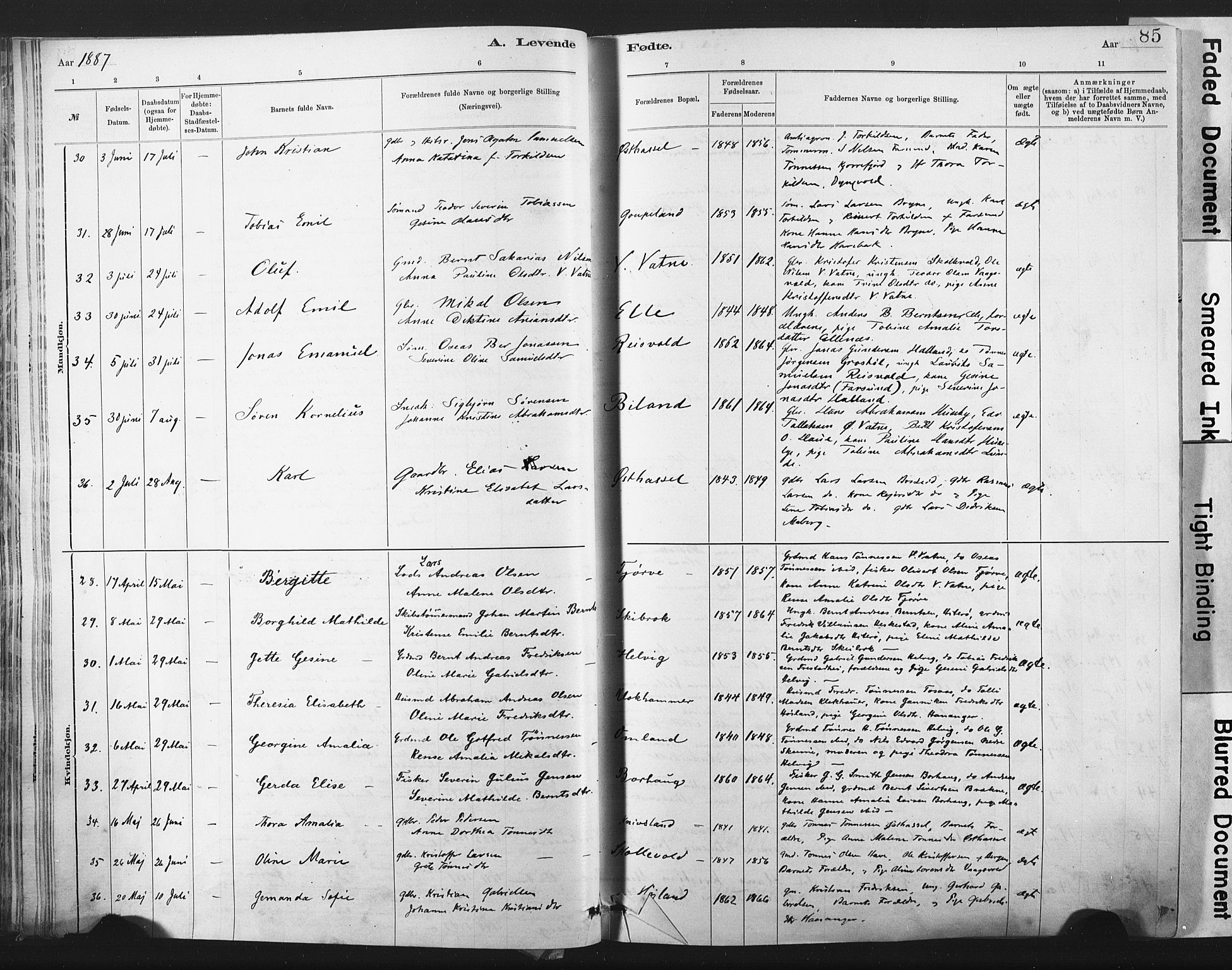 Lista sokneprestkontor, AV/SAK-1111-0027/F/Fa/L0012: Parish register (official) no. A 12, 1879-1903, p. 85